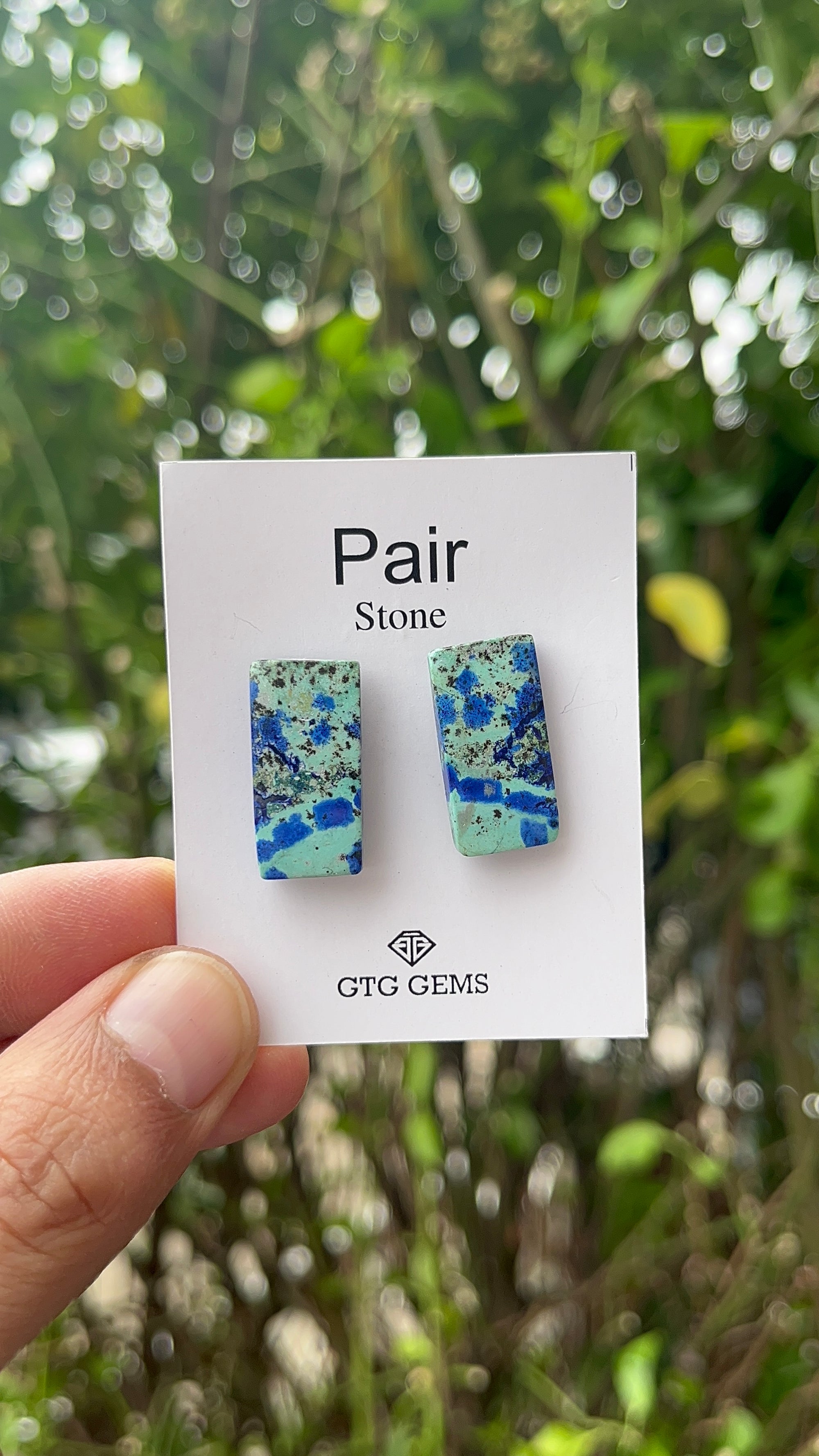 Azurite Malachite Cabochon Matching Pair 23x11 mm