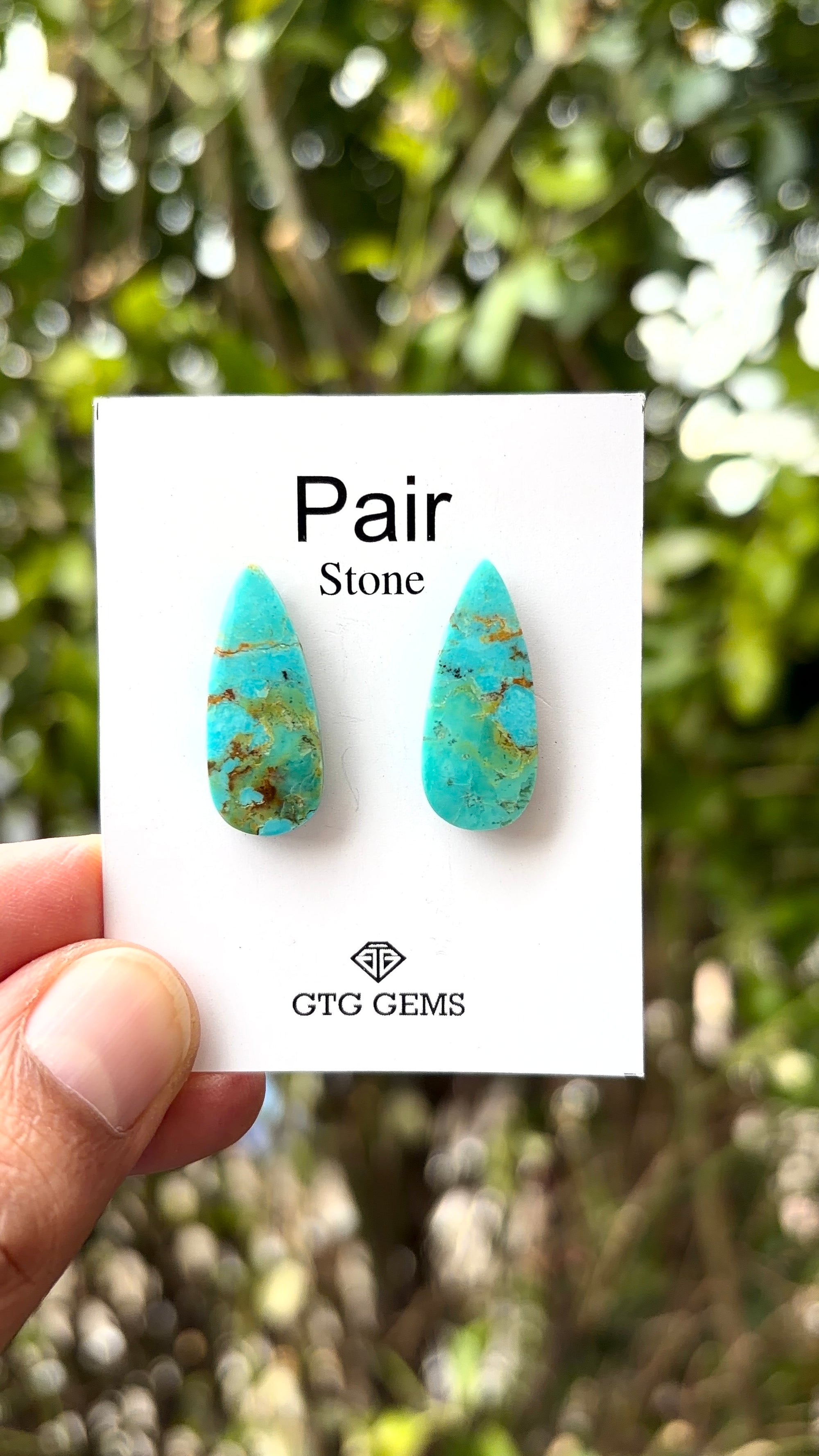 American Turquoise Cabochon Matching Pair 23x9 mm