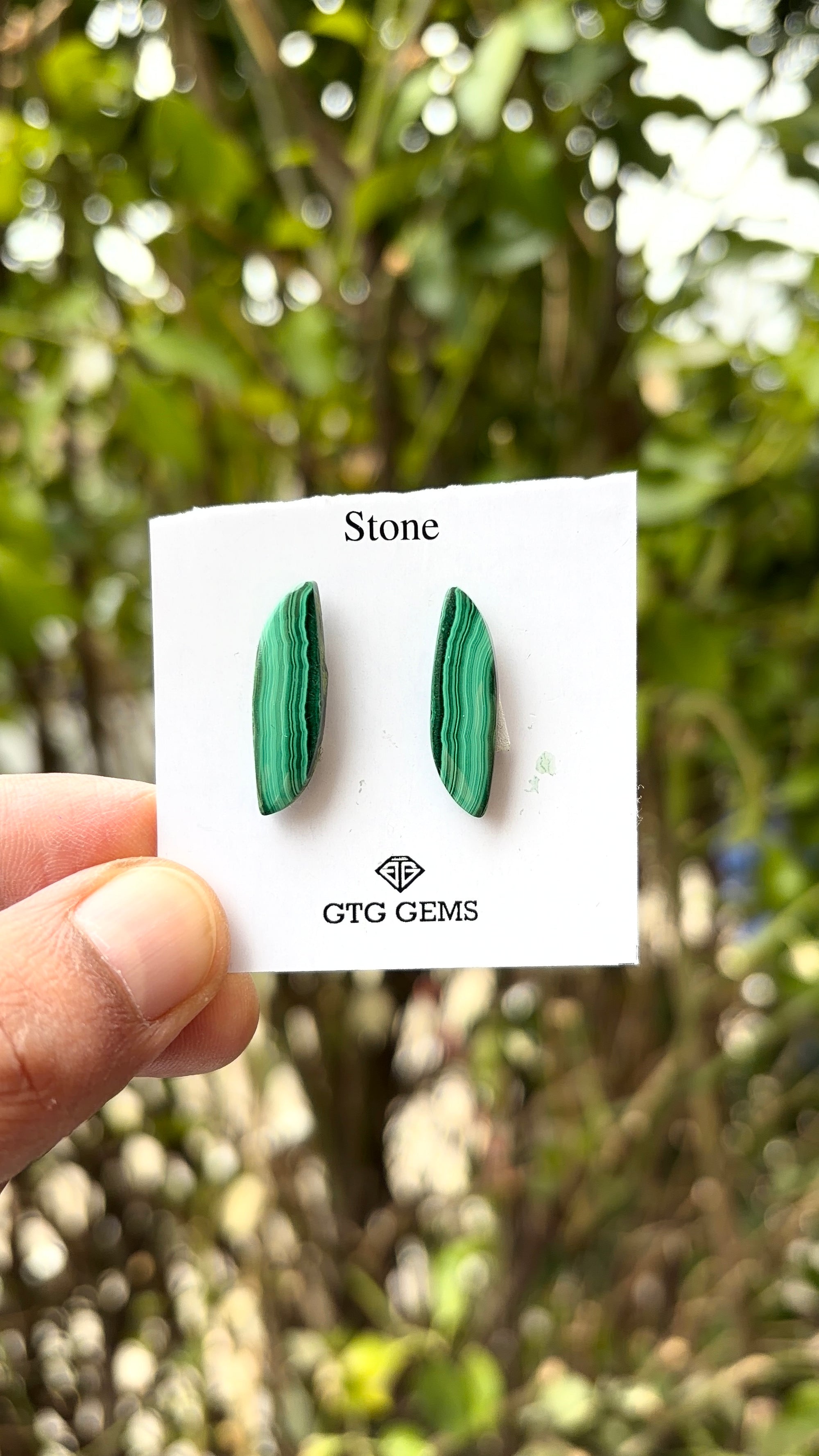 Malachite 24x7 mm Matching Pair Cabochon
