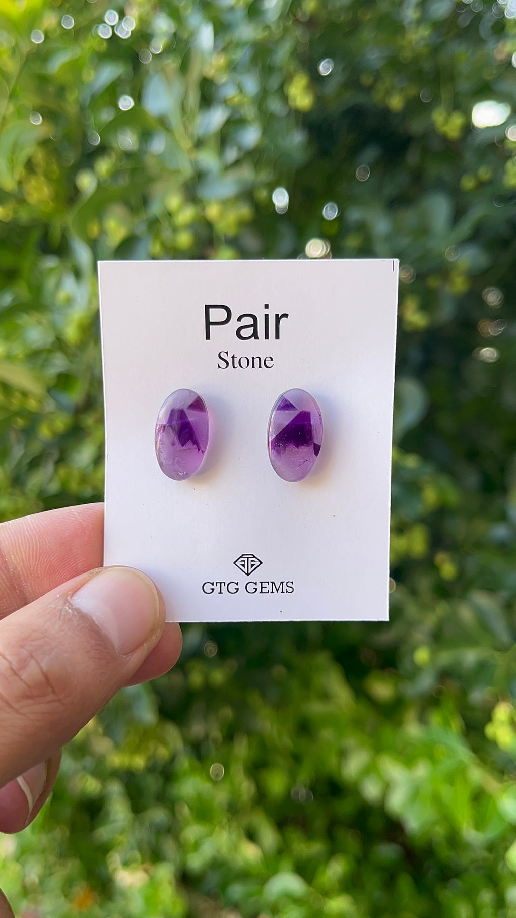 Star Amethyst Matching Pair Cabochon 16x10 mm, Approximately 11.50 Carat (GTG-AM-14)