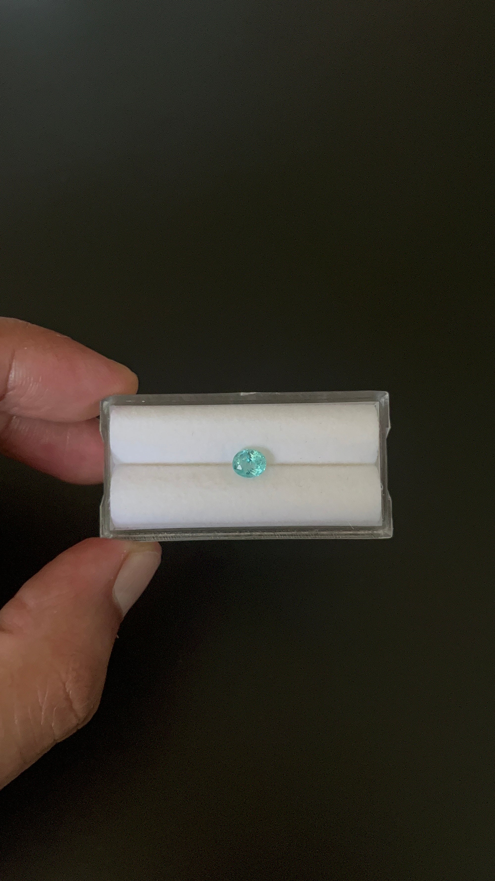 Natural Blue Faceted Apatite 5.8x4.9 mm Approximately .65 Carat (GTG-AP-94)