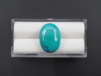 Arizona Turquoise Cabochon 18x13 mm Approximately 7.77 Carat (GTG-AT-8)