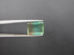 Fluorite Faceted Gemstone 12x10 mm