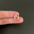 Mexican Fire Opal Cabochon 14x13 mm Approximately 8.69 Carat (GTG-MFO-8)