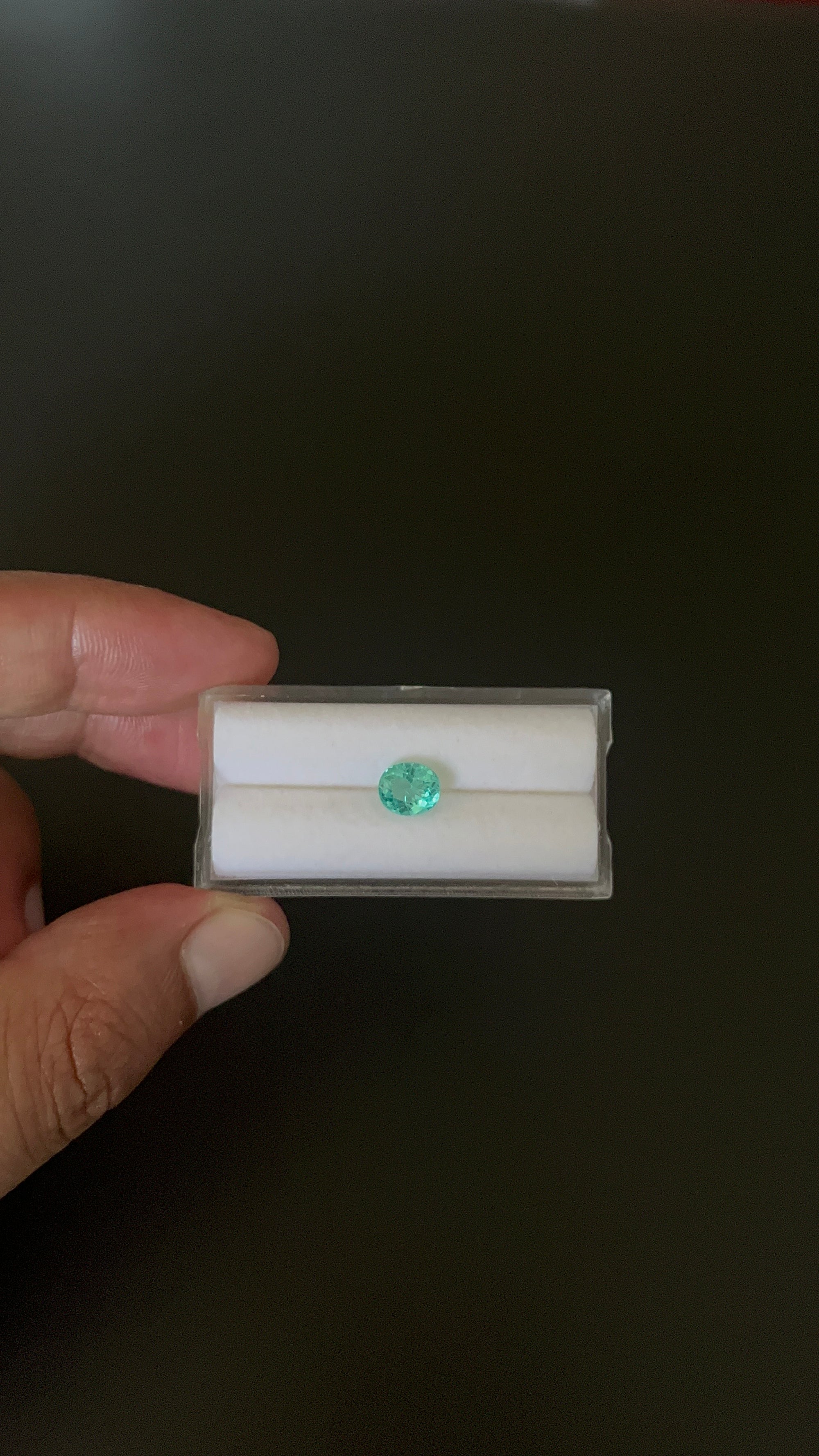 Natural Blue Apatite Faceted 7.4x6.4 mm Approximately 1.47 Carat (GTG-AP-95)