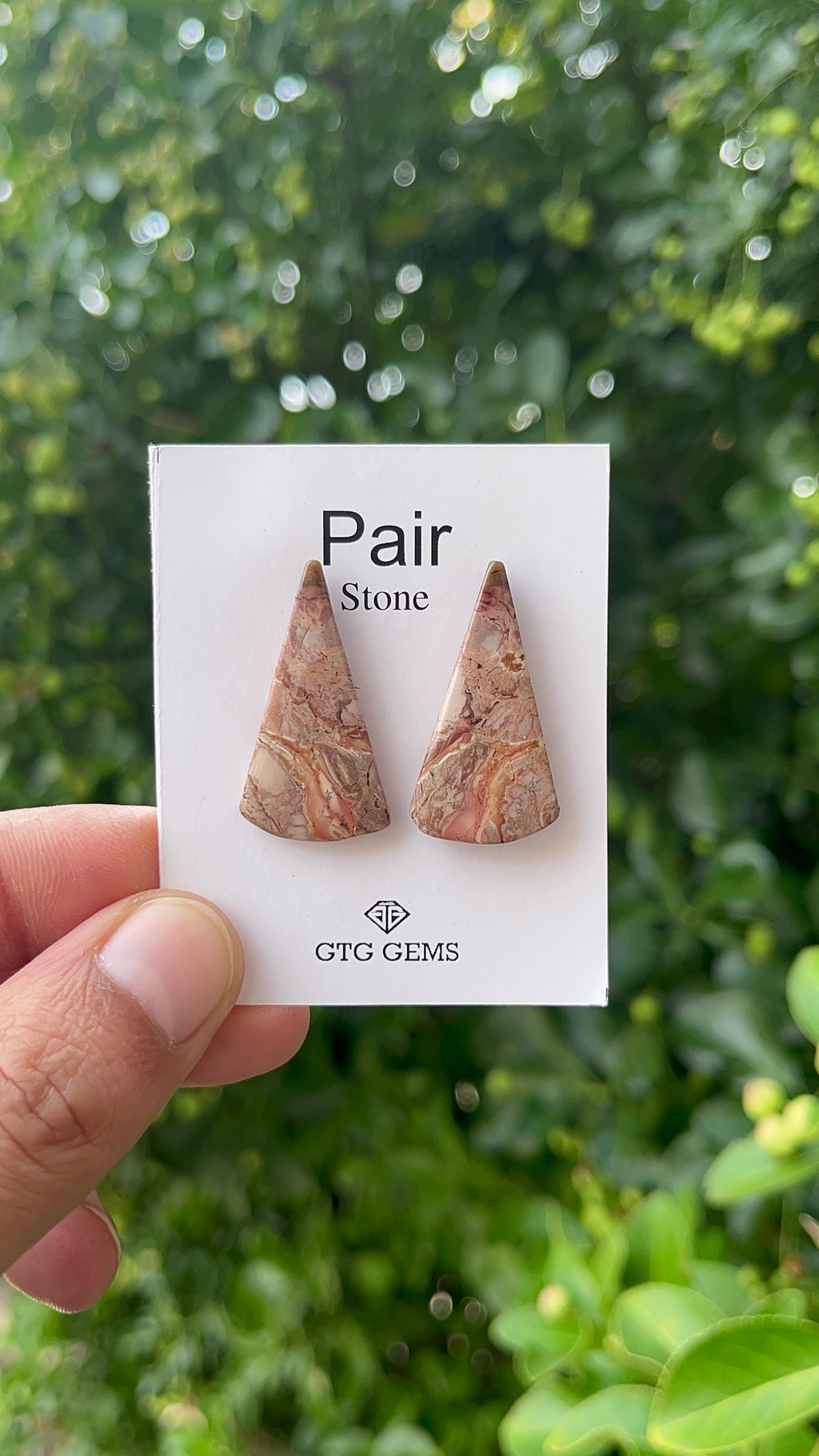 Picture Jasper 31x17mm Matching Pair Cabochon