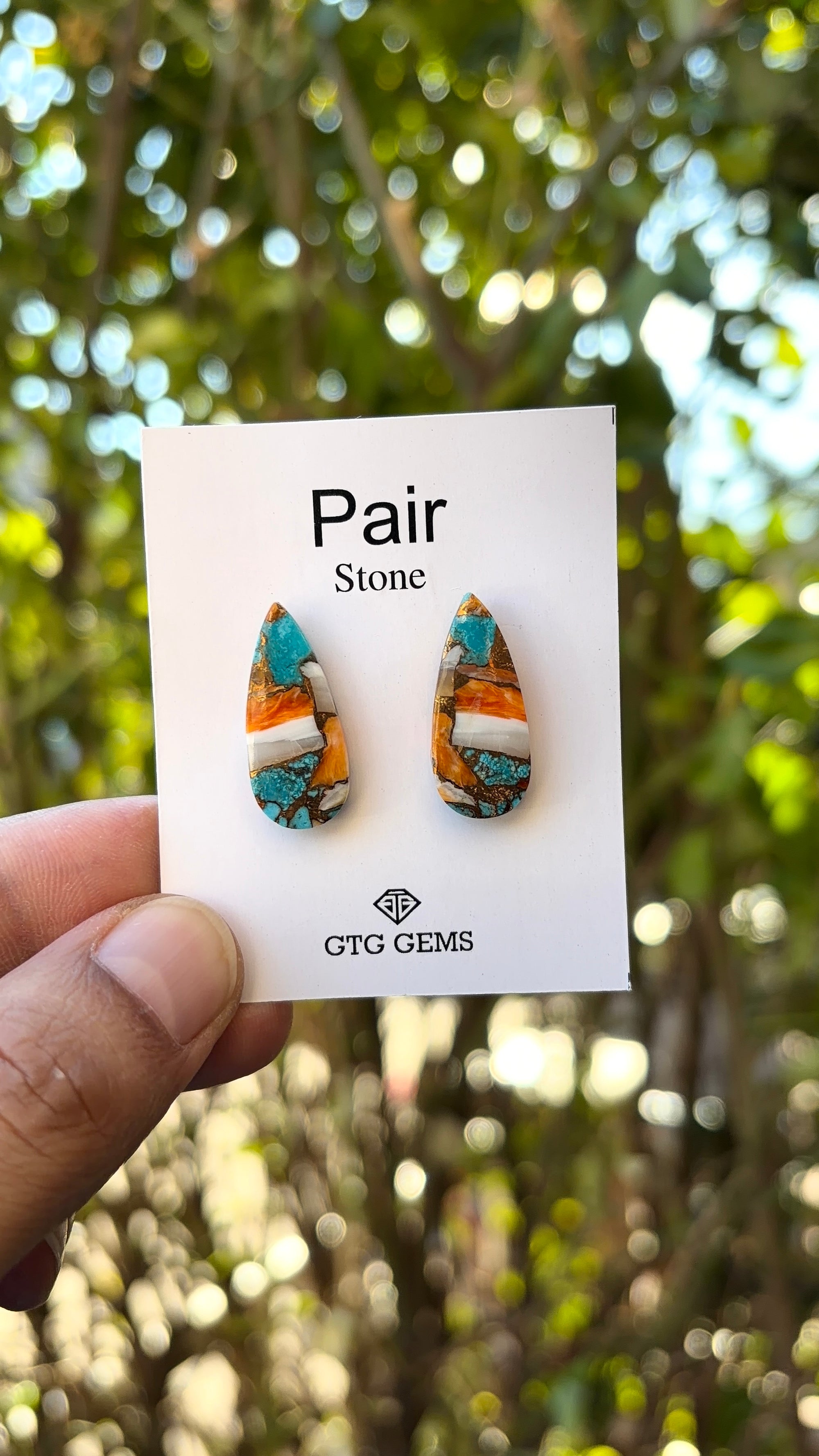 Oyster Copper Turquoise Cabochon Matching Pair 23x9 mm