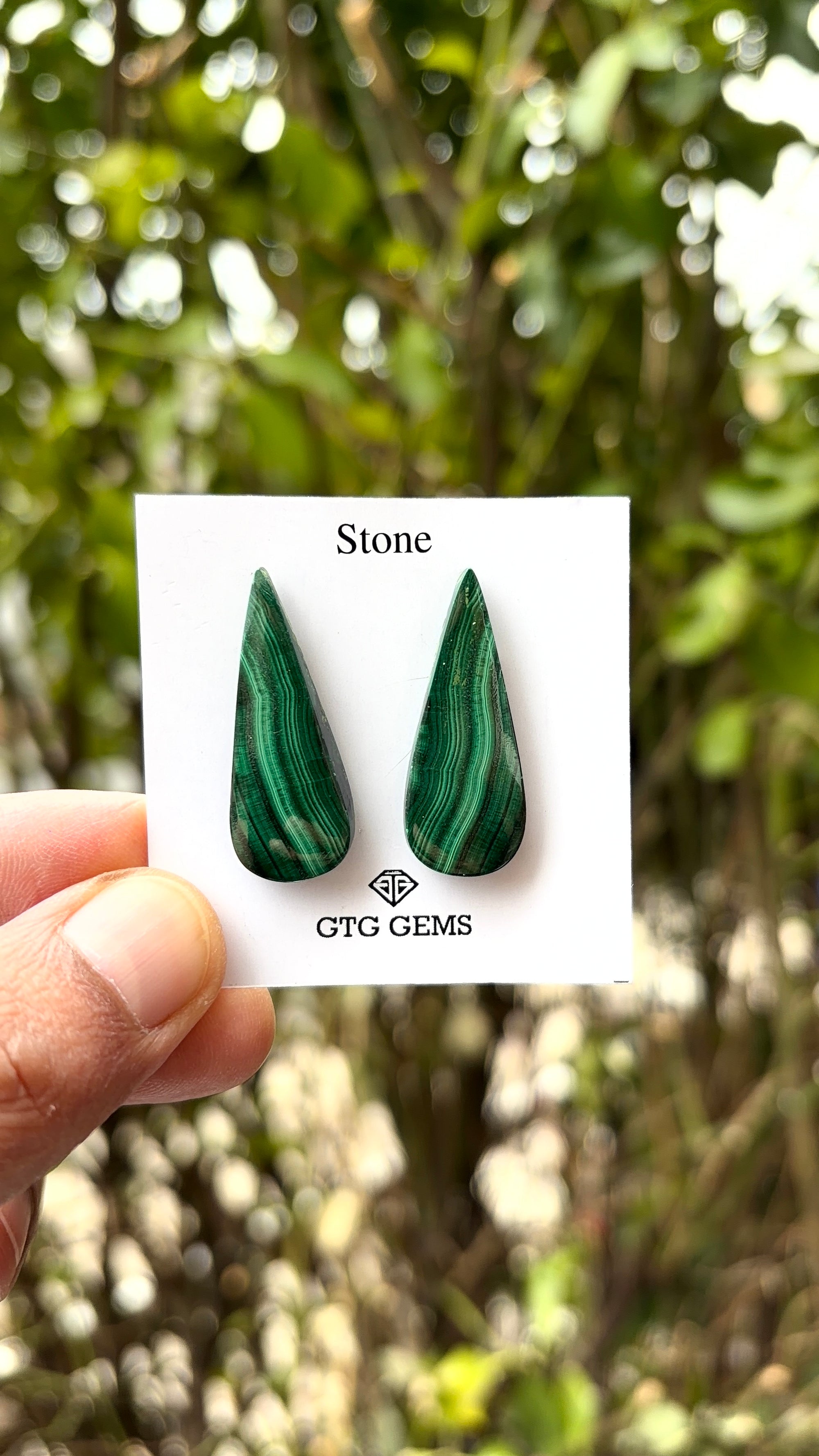 Malachite 32x12 mm Matching Pair Cabochon