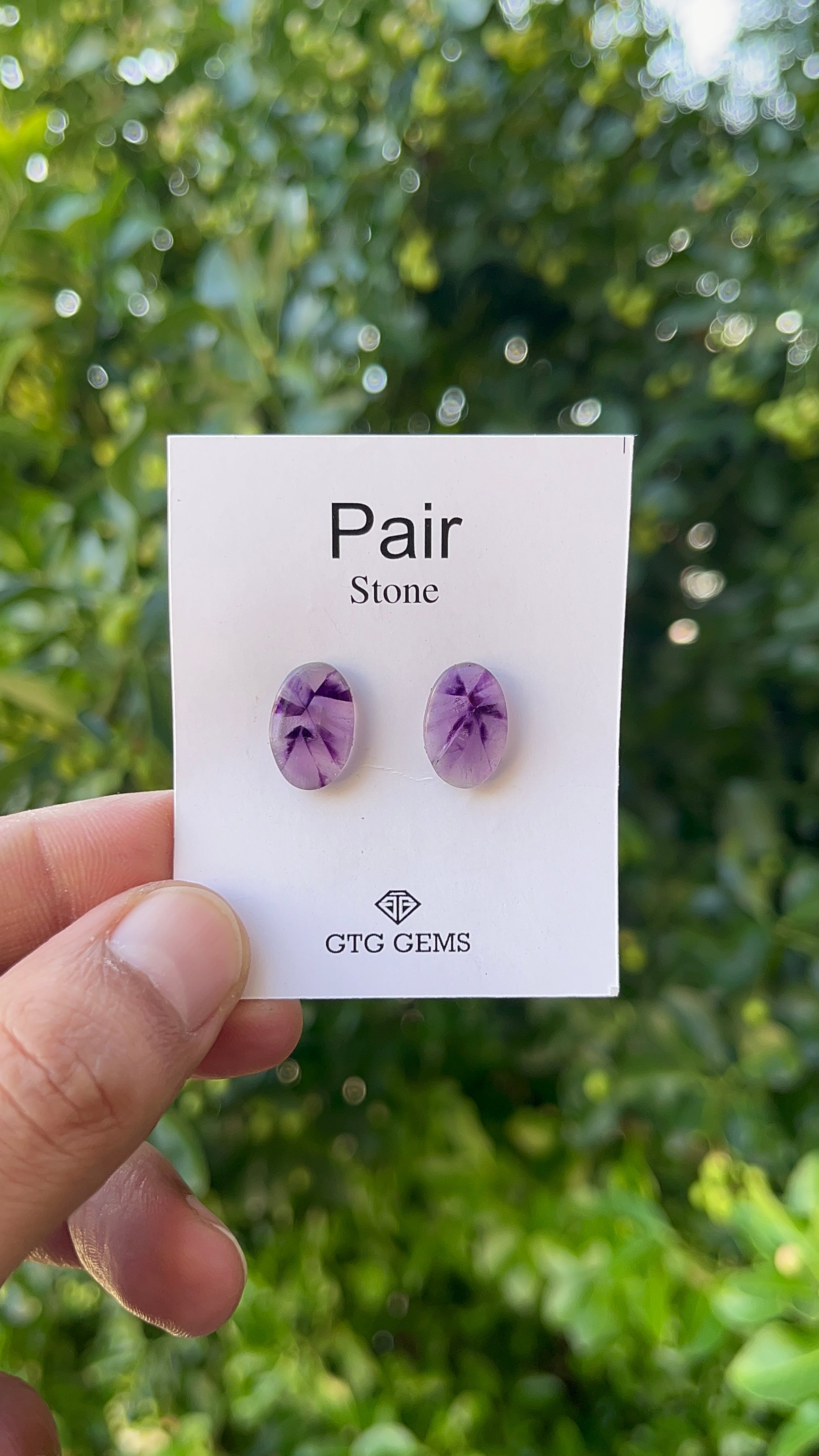 Star Amethyst Matching Pair Cabochon 14x9.5 mm, Approximately 7.50 Carat (GTG-AM-13)