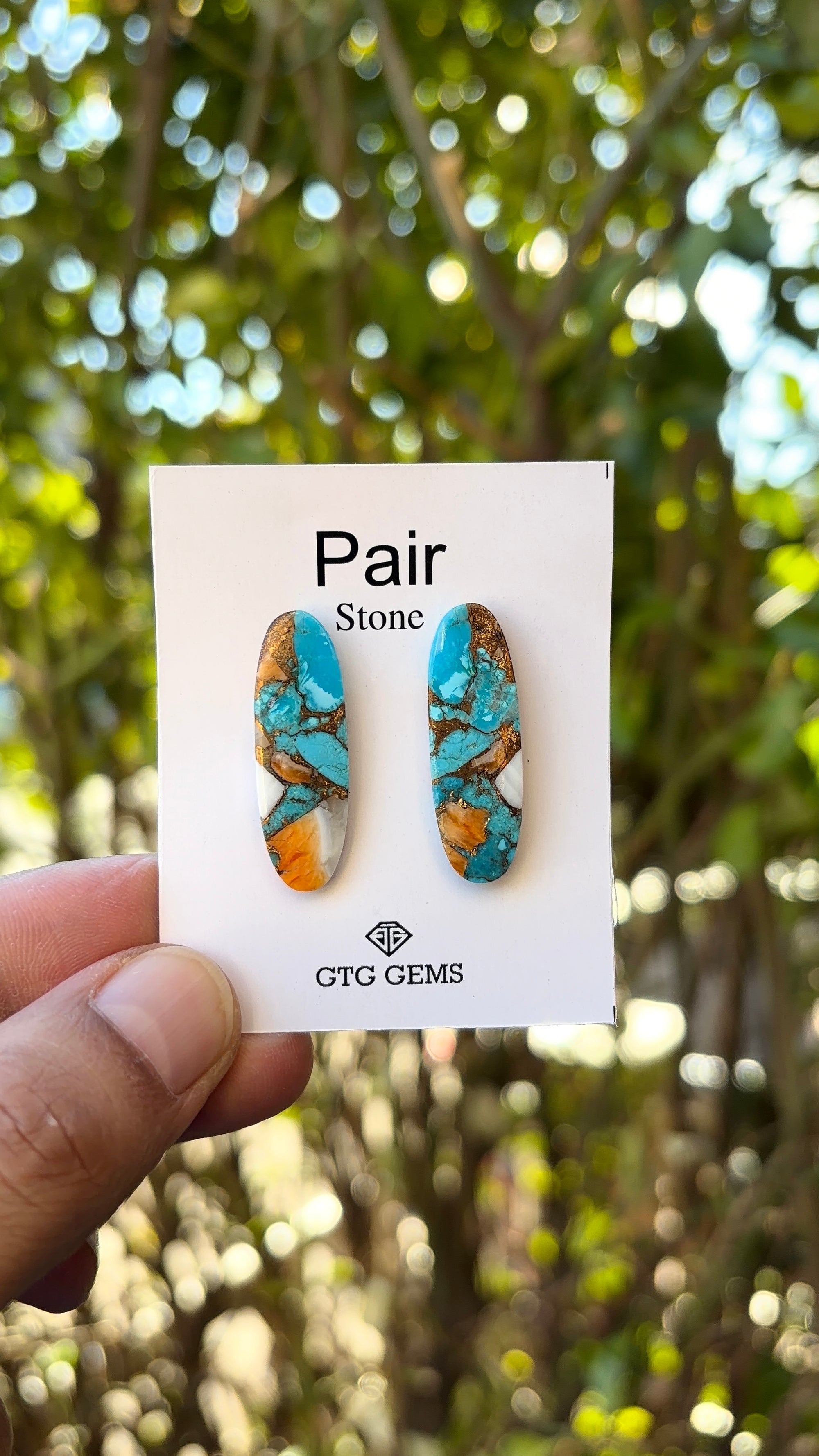 Oyster Copper Turquoise Cabochon Matching Pair 30x9 mm