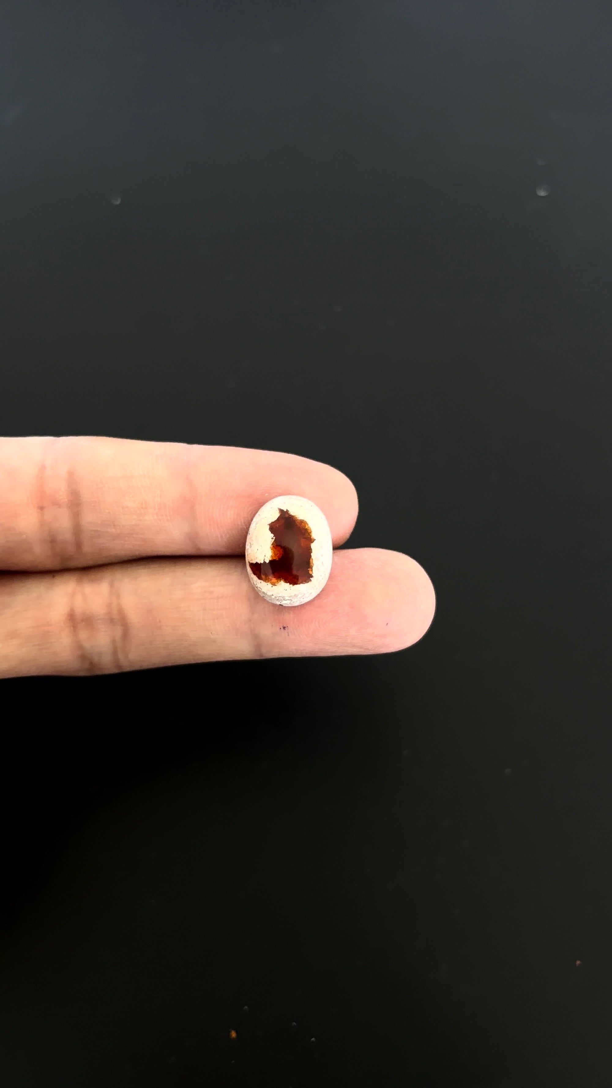 Mexican Fire Opal Cabochon 17x13 mm Approximately 7.69 Carat