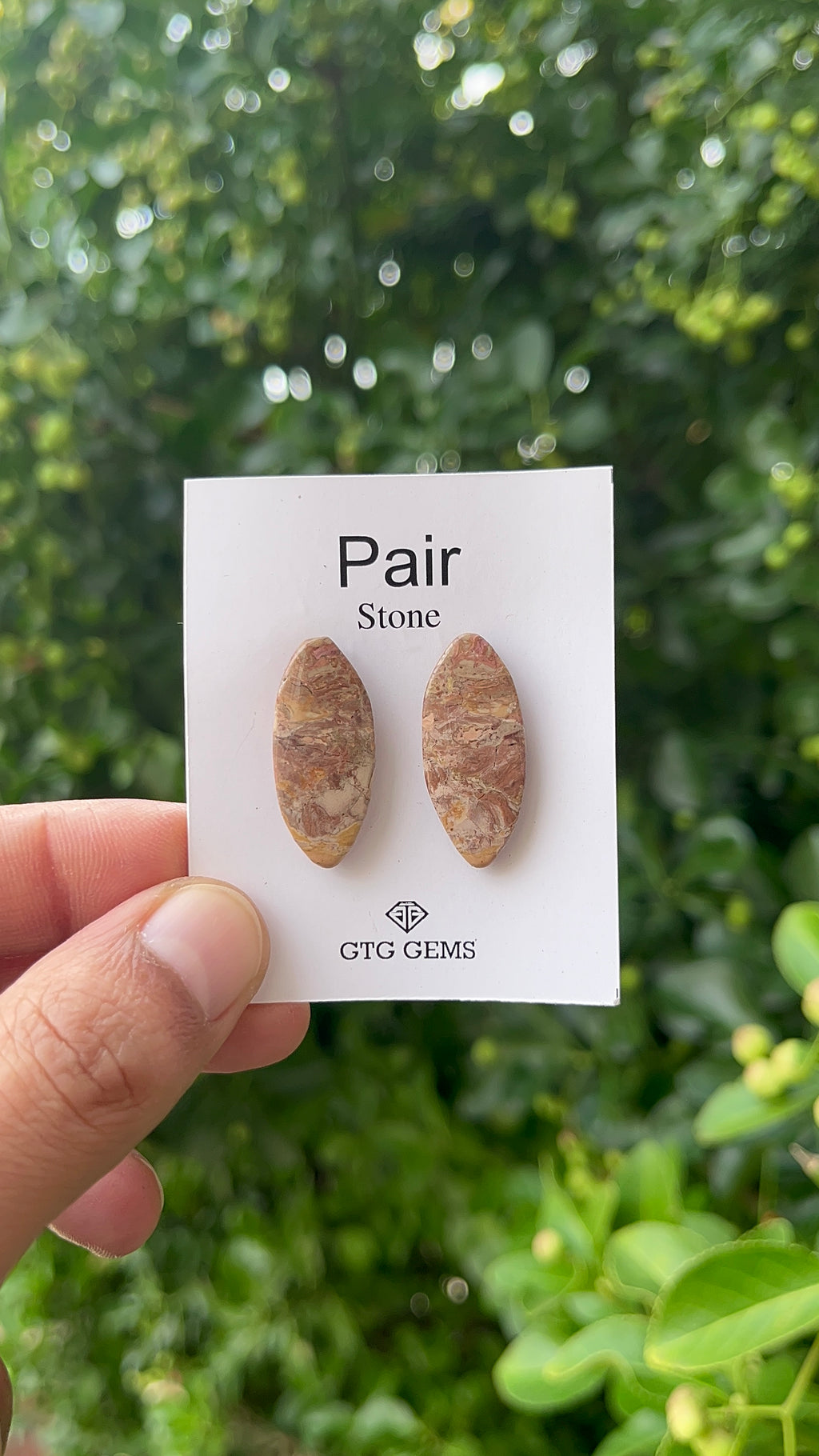 Picture Jasper 28x12mm Matching Pair Cabochon