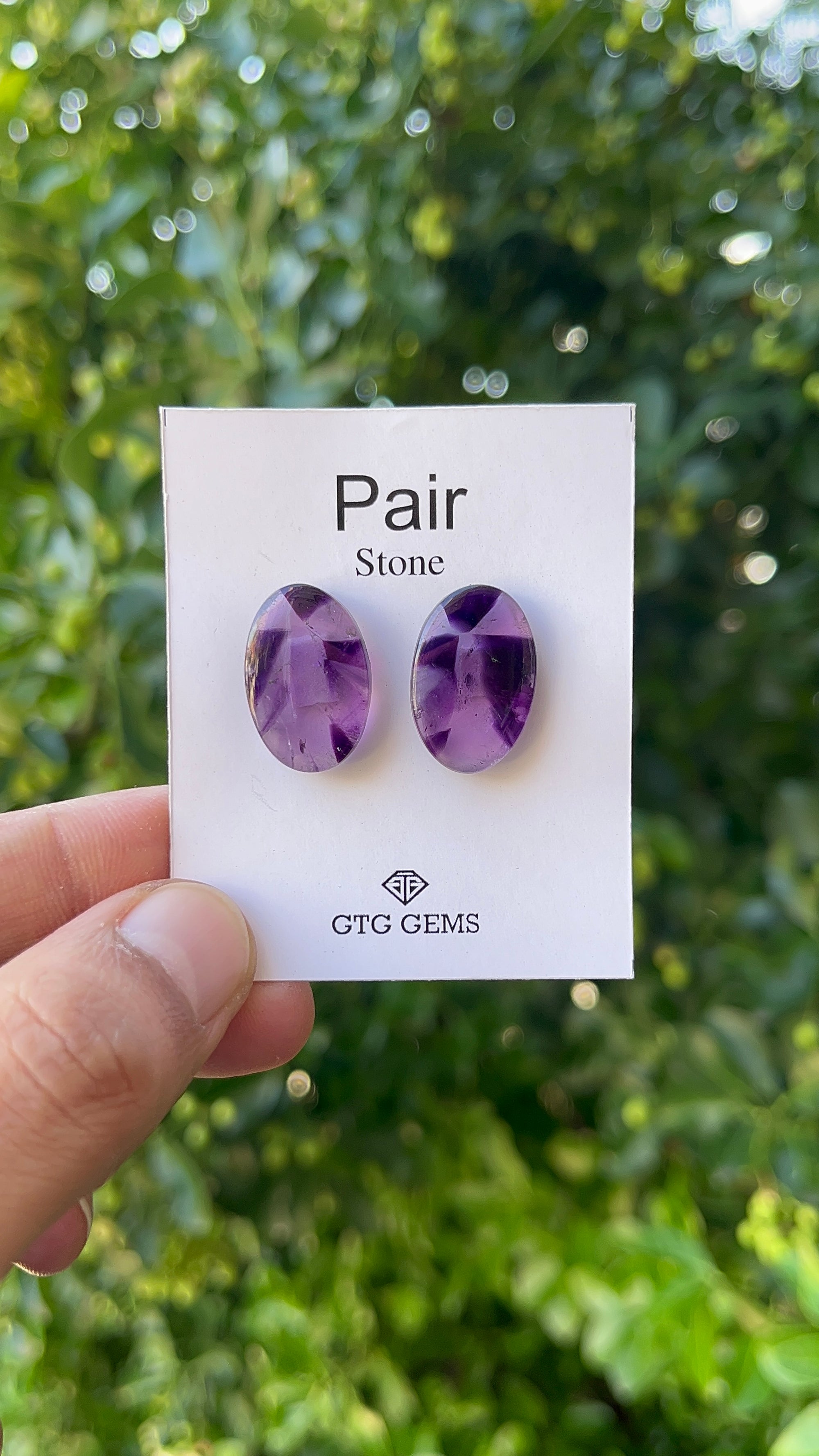 Star Amethyst Matching Pair Cabochon 21x14 mm, Approximately 22 Carat (GTG-AM-29)