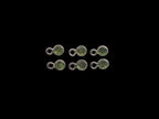 Peridot Silver Bezel, Single Connector, 4 mm, Peridot Charm (GTG-SBP-12)