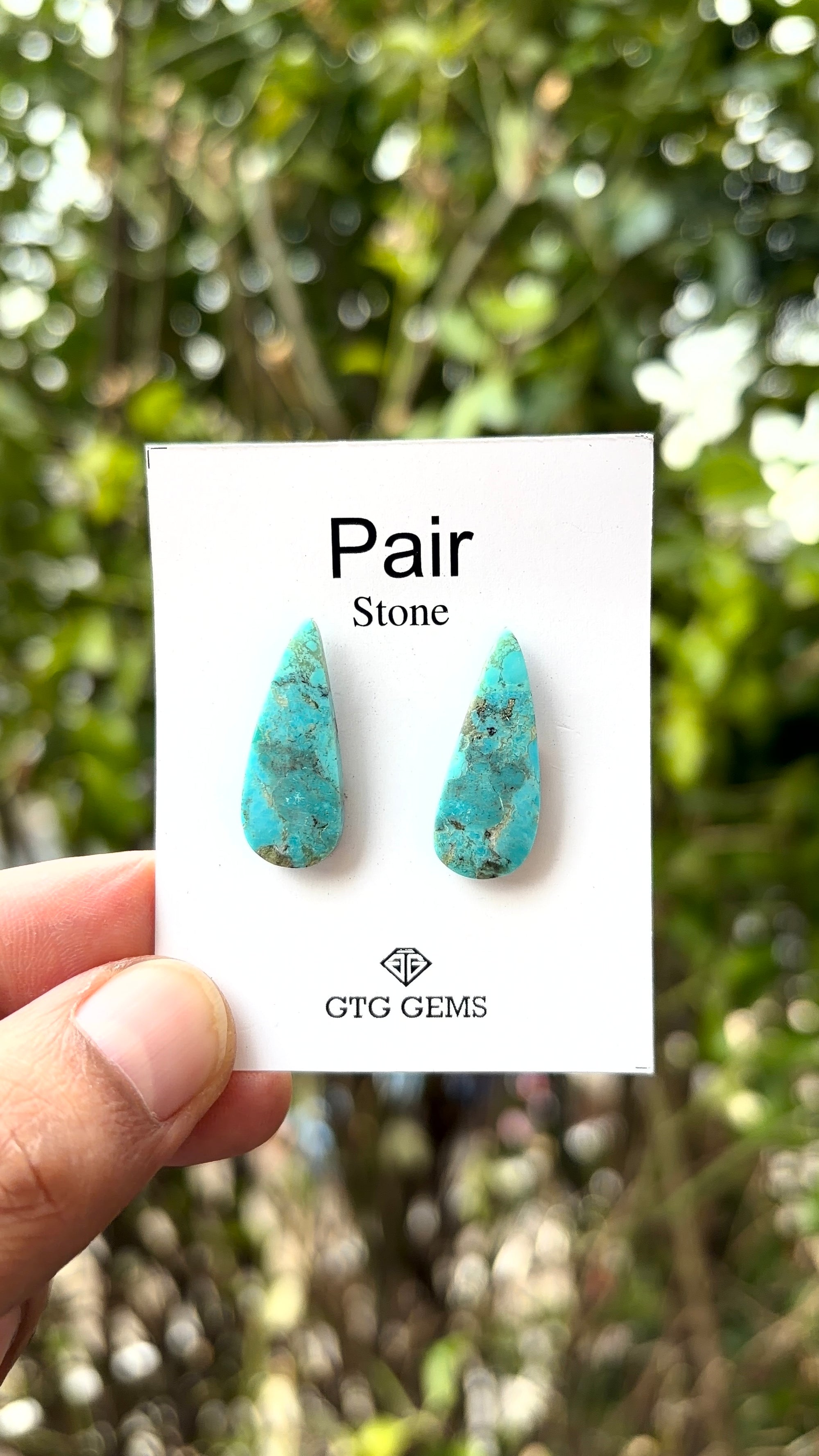 American Turquoise Cabochon Matching Pair 23x9 mm