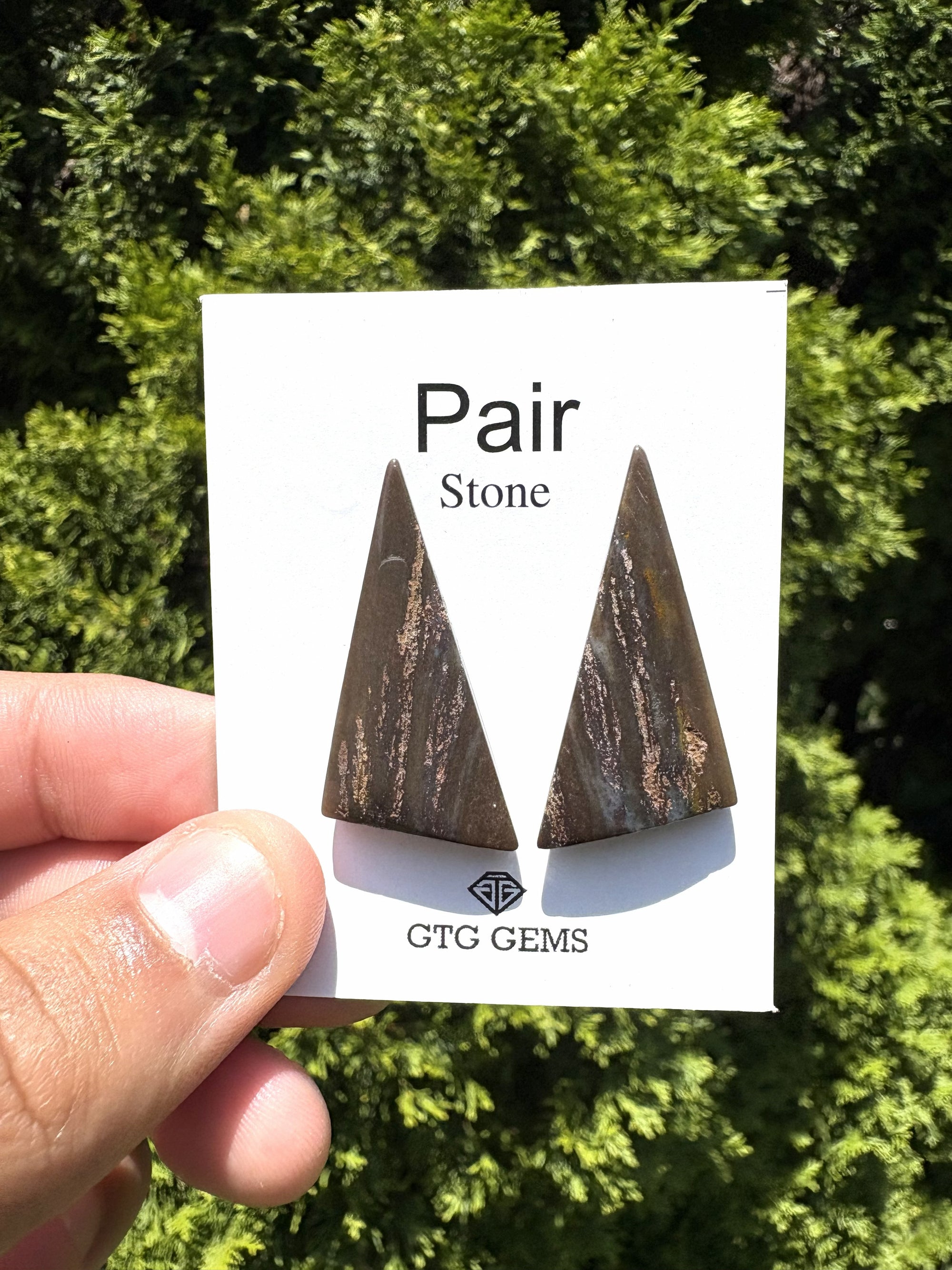 Wood Jasper Matching Pair 35x17 mm, Approximately 31.50 carat (GTG-MWJ-9)