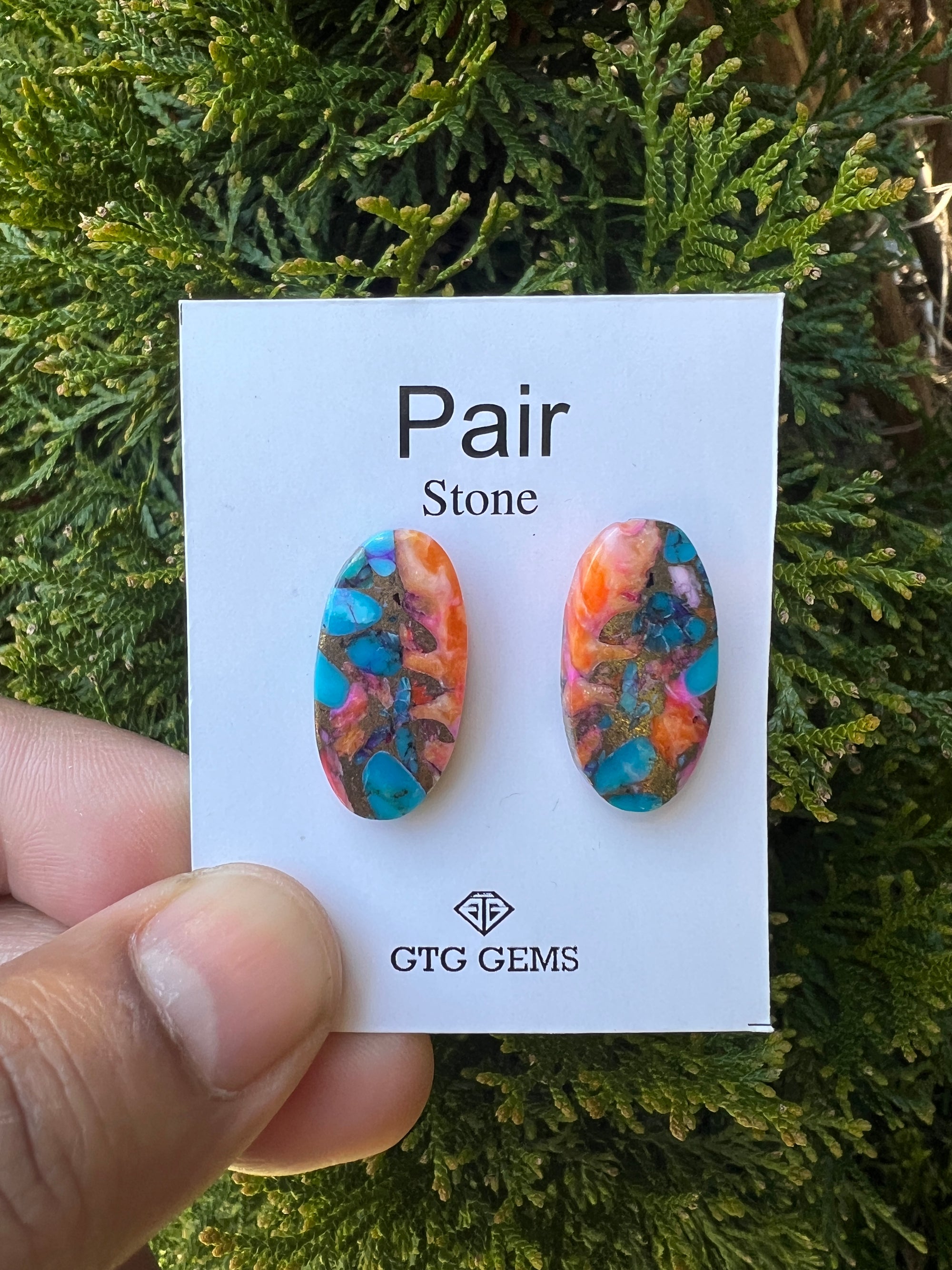 Oyster Copper Turquoise Cabochon Matching Pair 21x13 mm