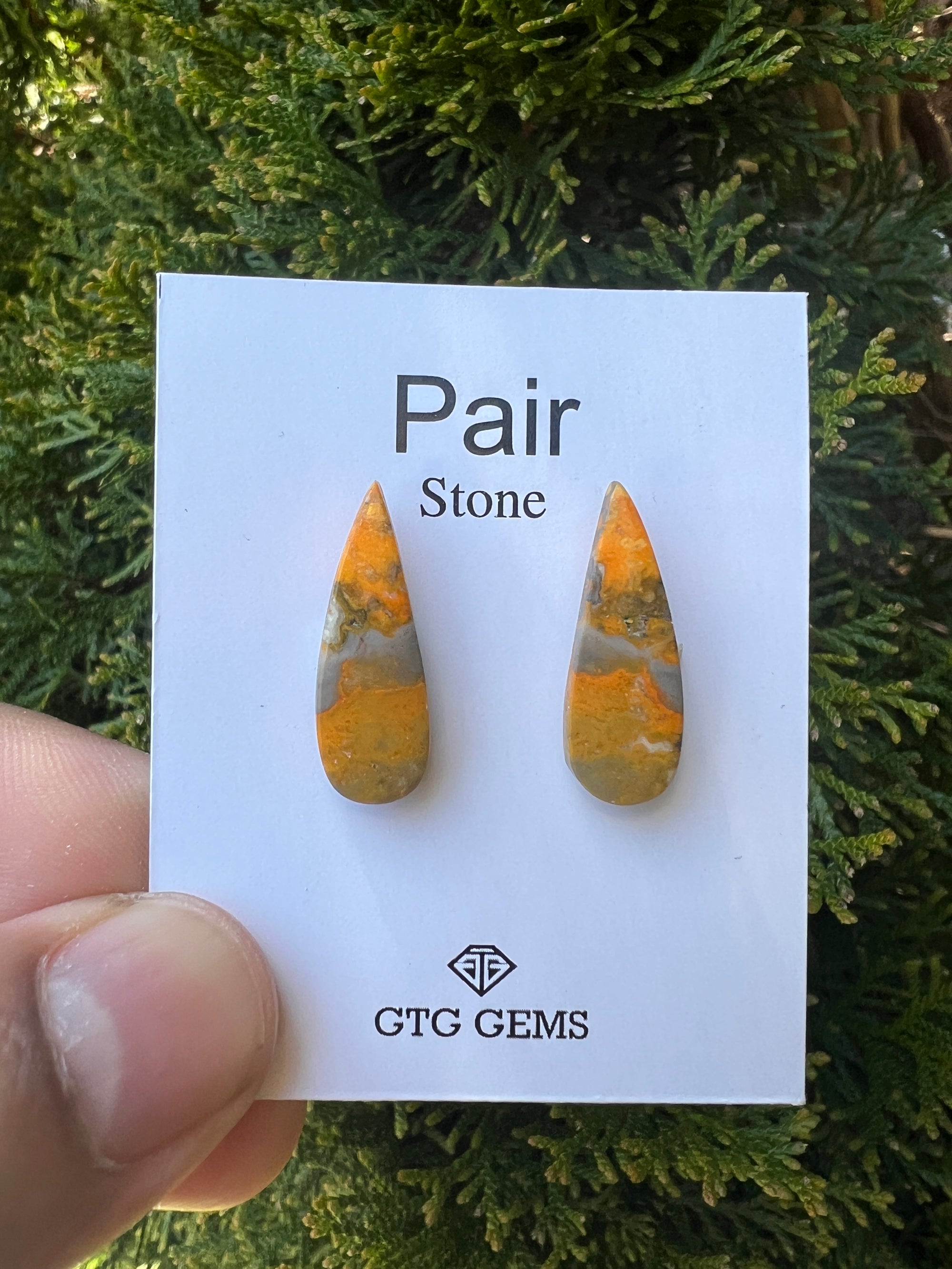 Jasper Matching Pair Cabochon 24x9 mm