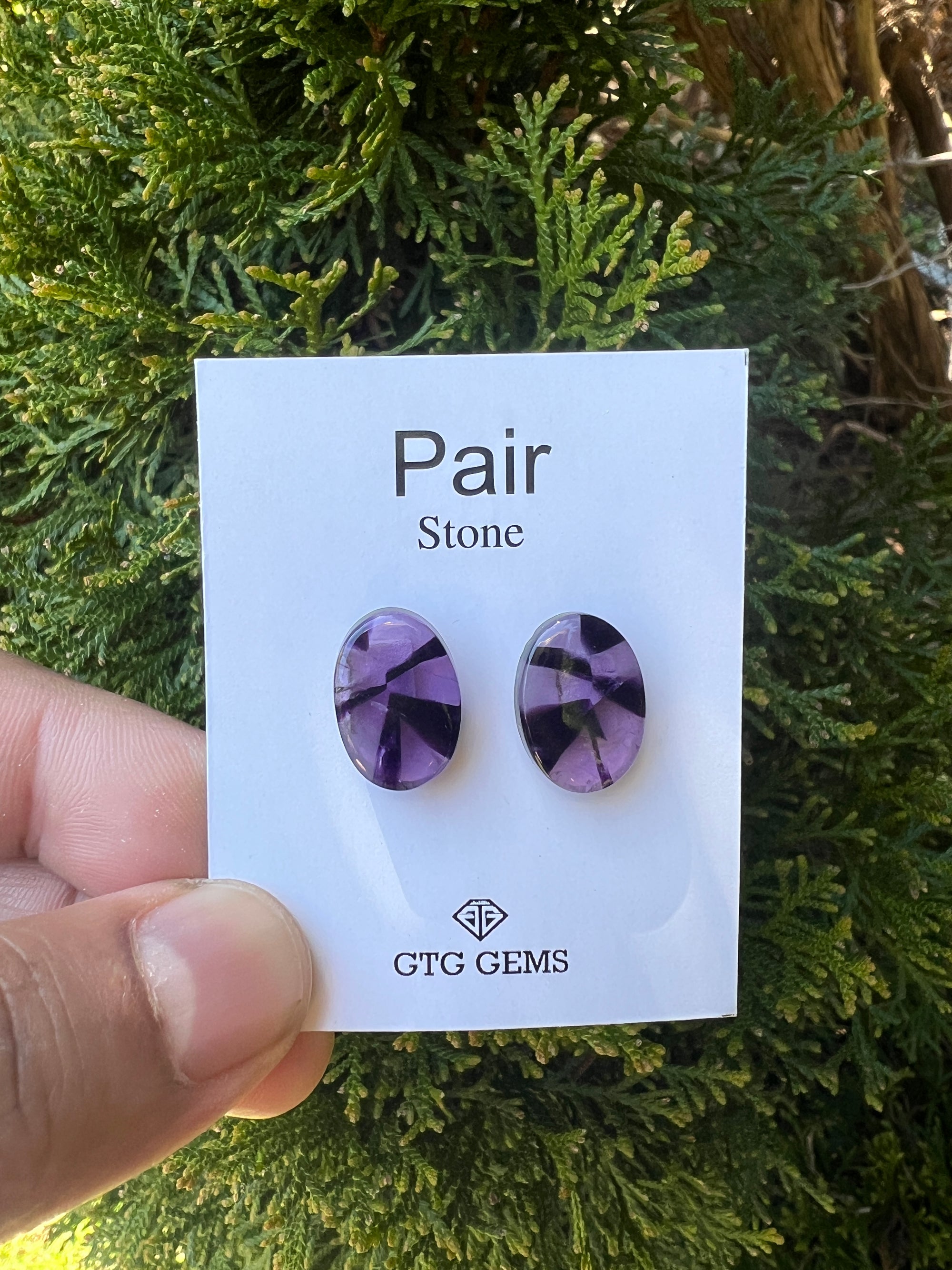Star Amethyst Matching Pair Cabochon 16x12 mm (GTG-AM-30)
