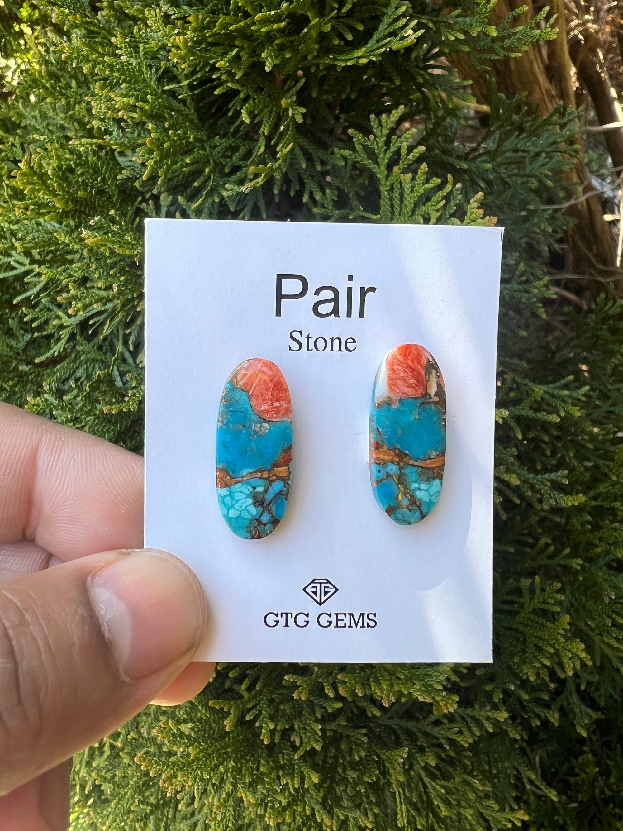 Oyster Copper Turquoise Cabochon Matching Pair 25.5x10.5 mm