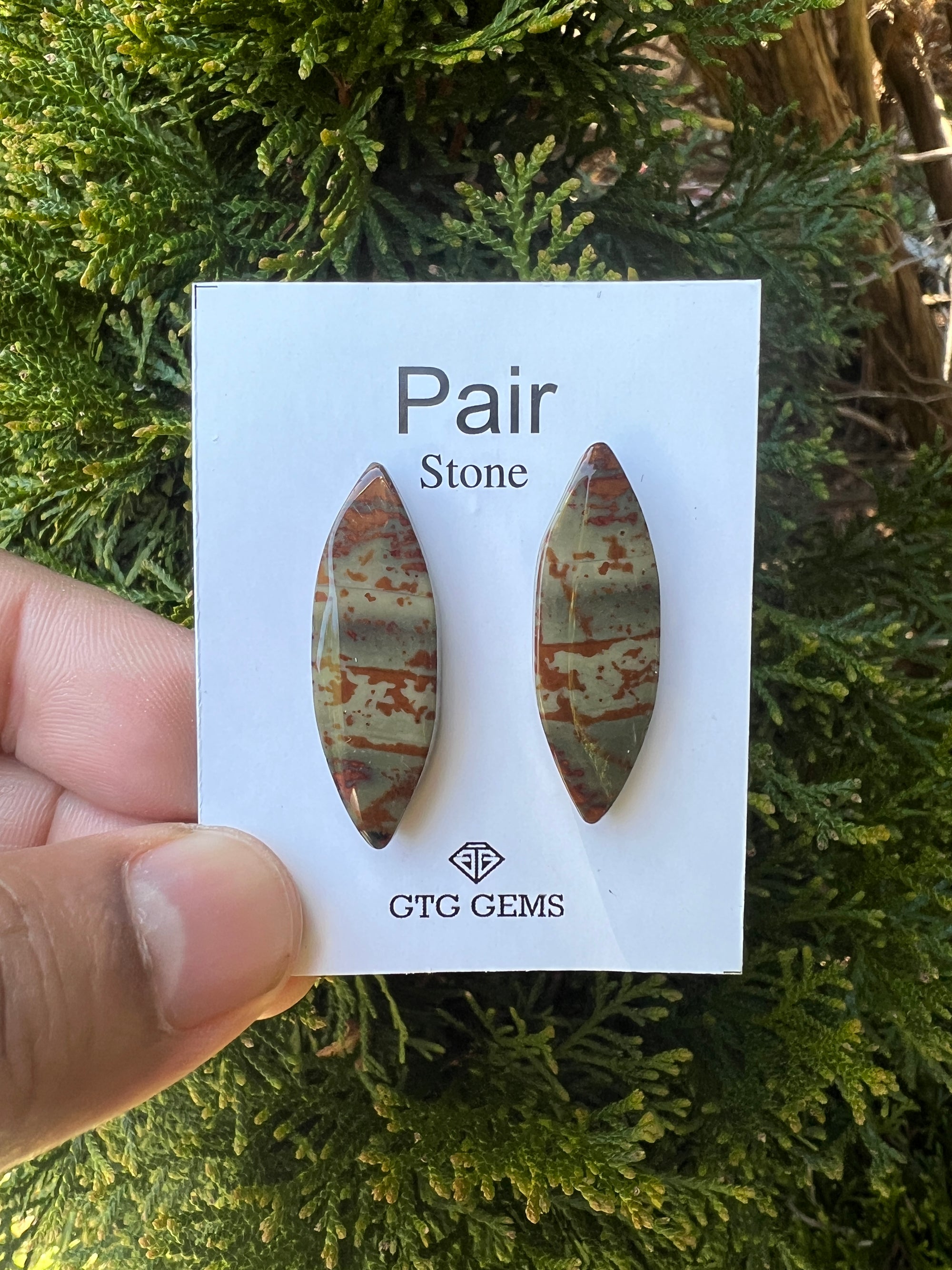 Picture Jasper 34x11 mm Matching Pair Cabochon