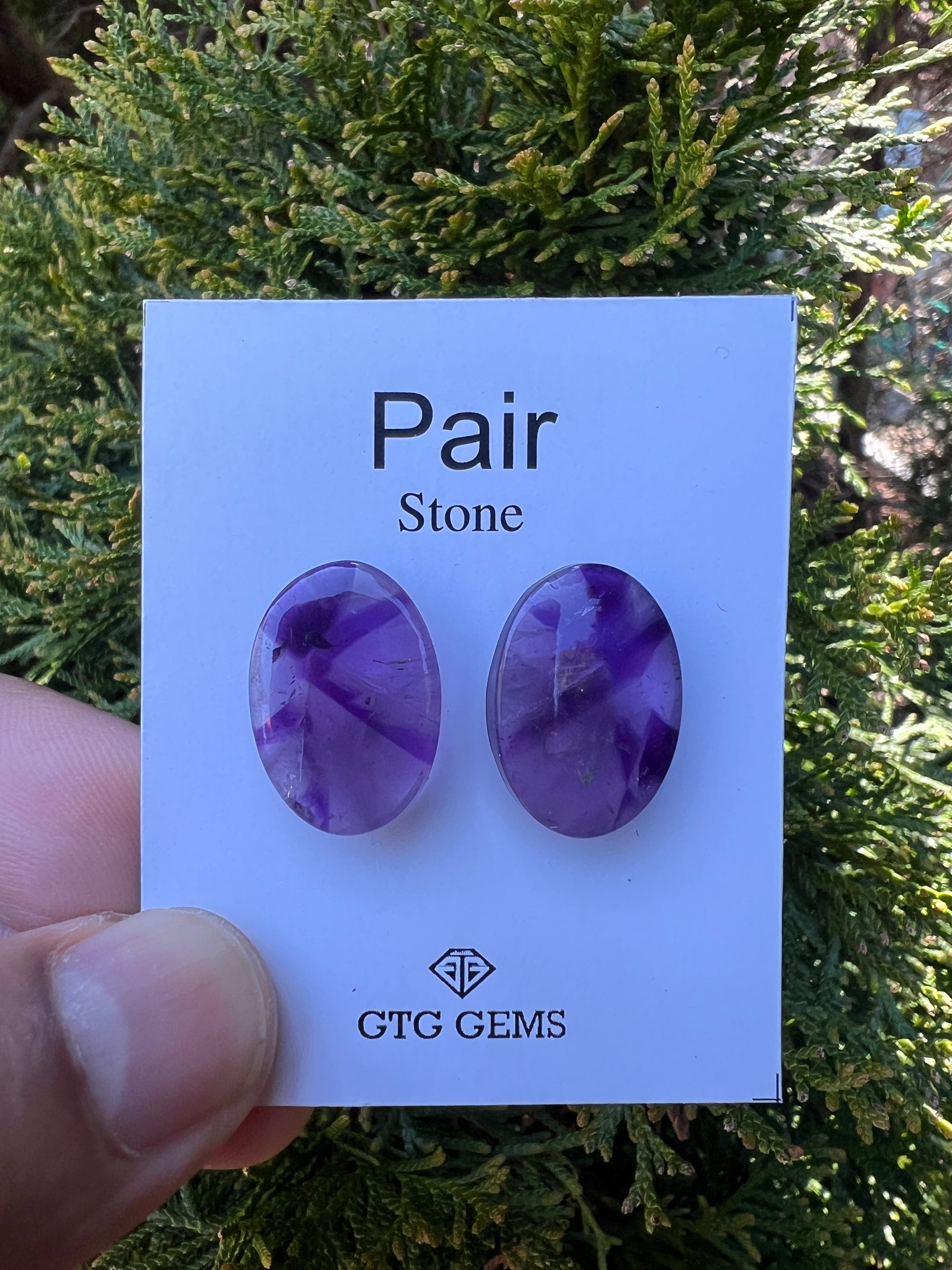 Star Amethyst Matching Pair Cabochon 21x15 mm