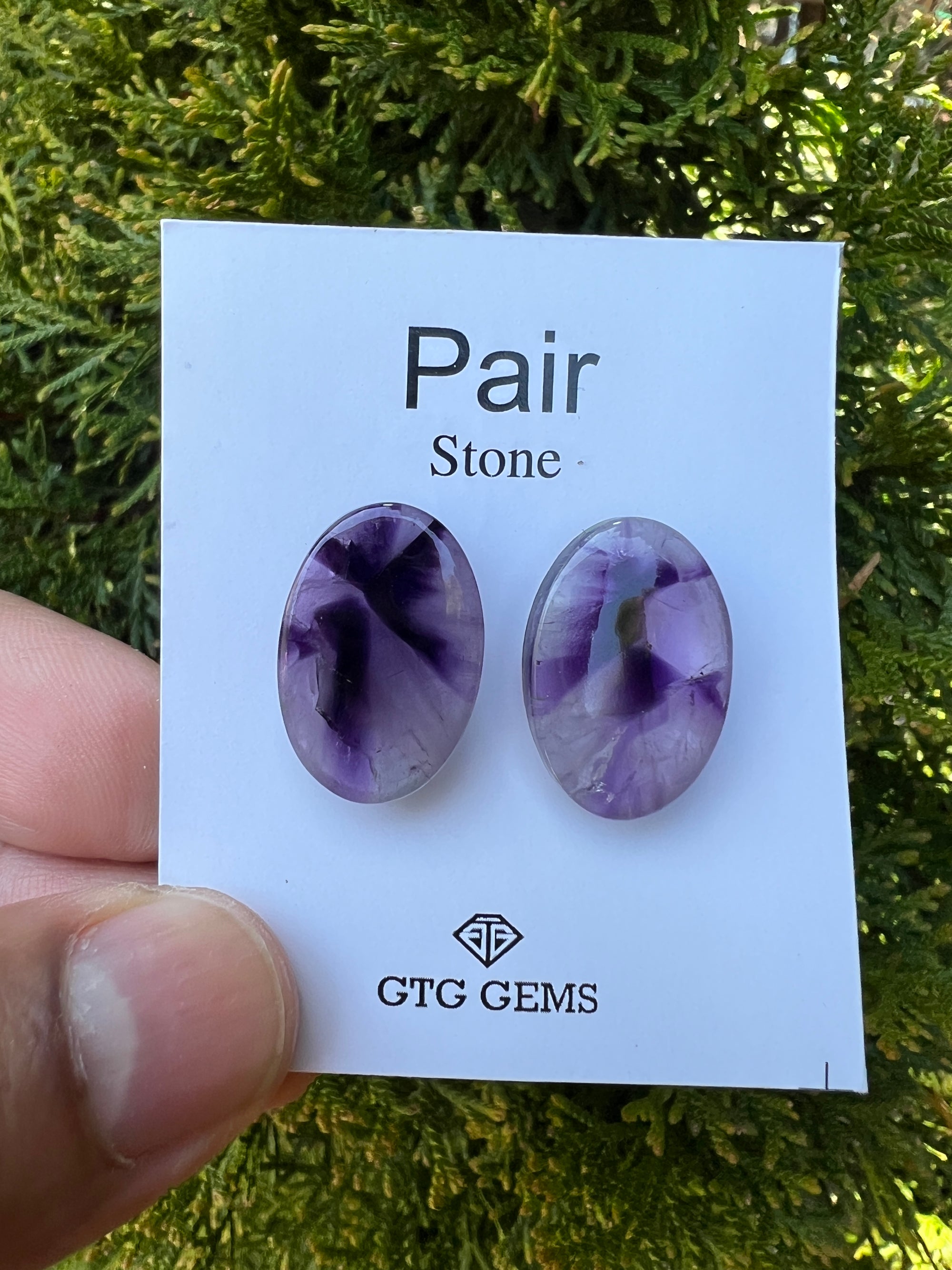 Star Amethyst Matching Pair Cabochon 22x15 mm