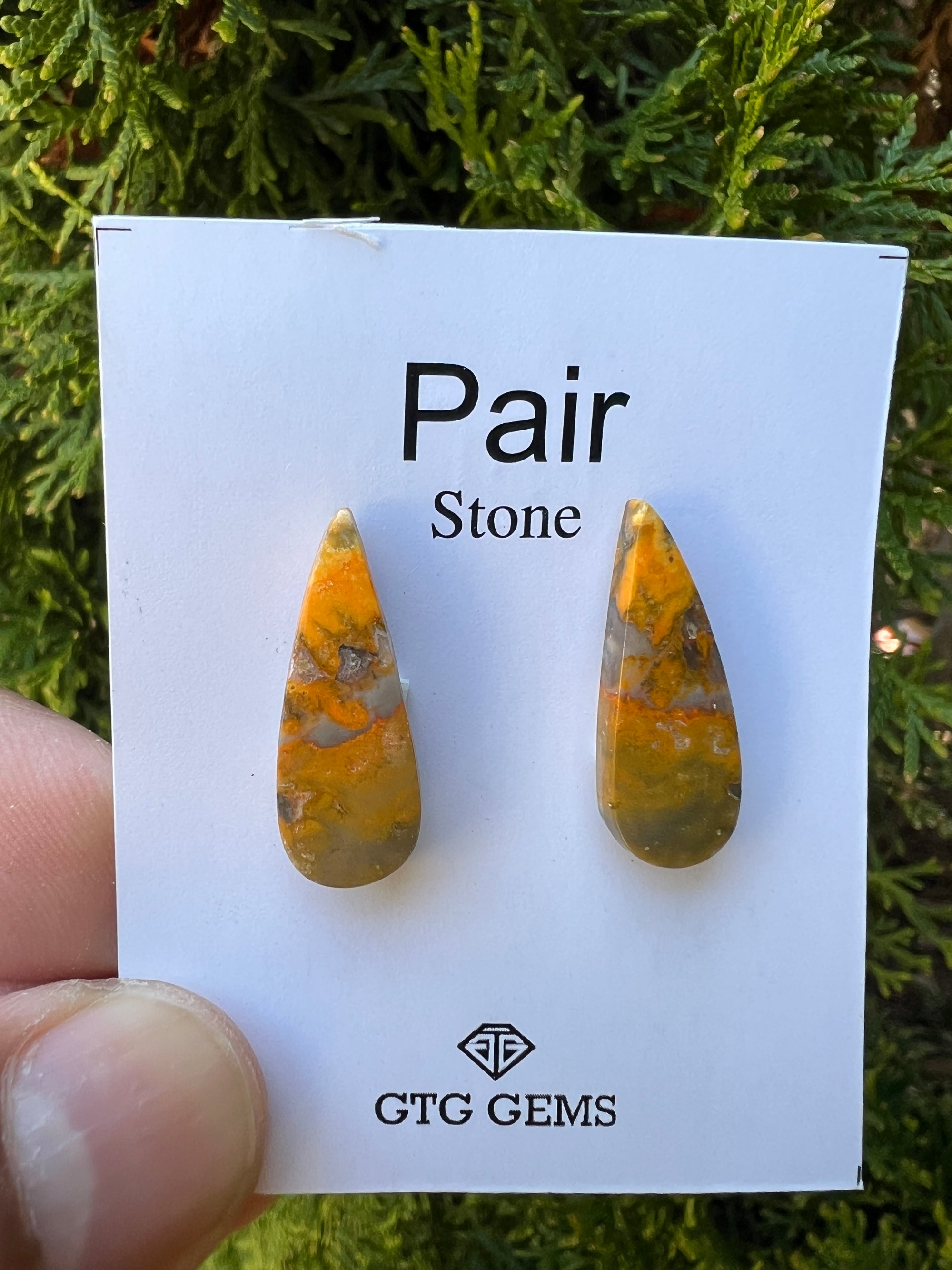Jasper Matching Pair Cabochon 24x9 mm