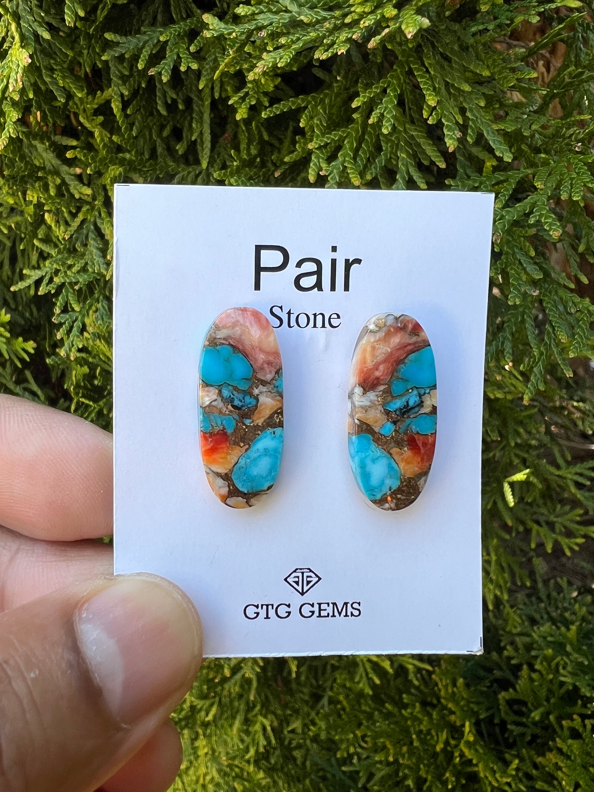 Oyster Copper Turquoise Cabochon Matching Pair 26x11 mm