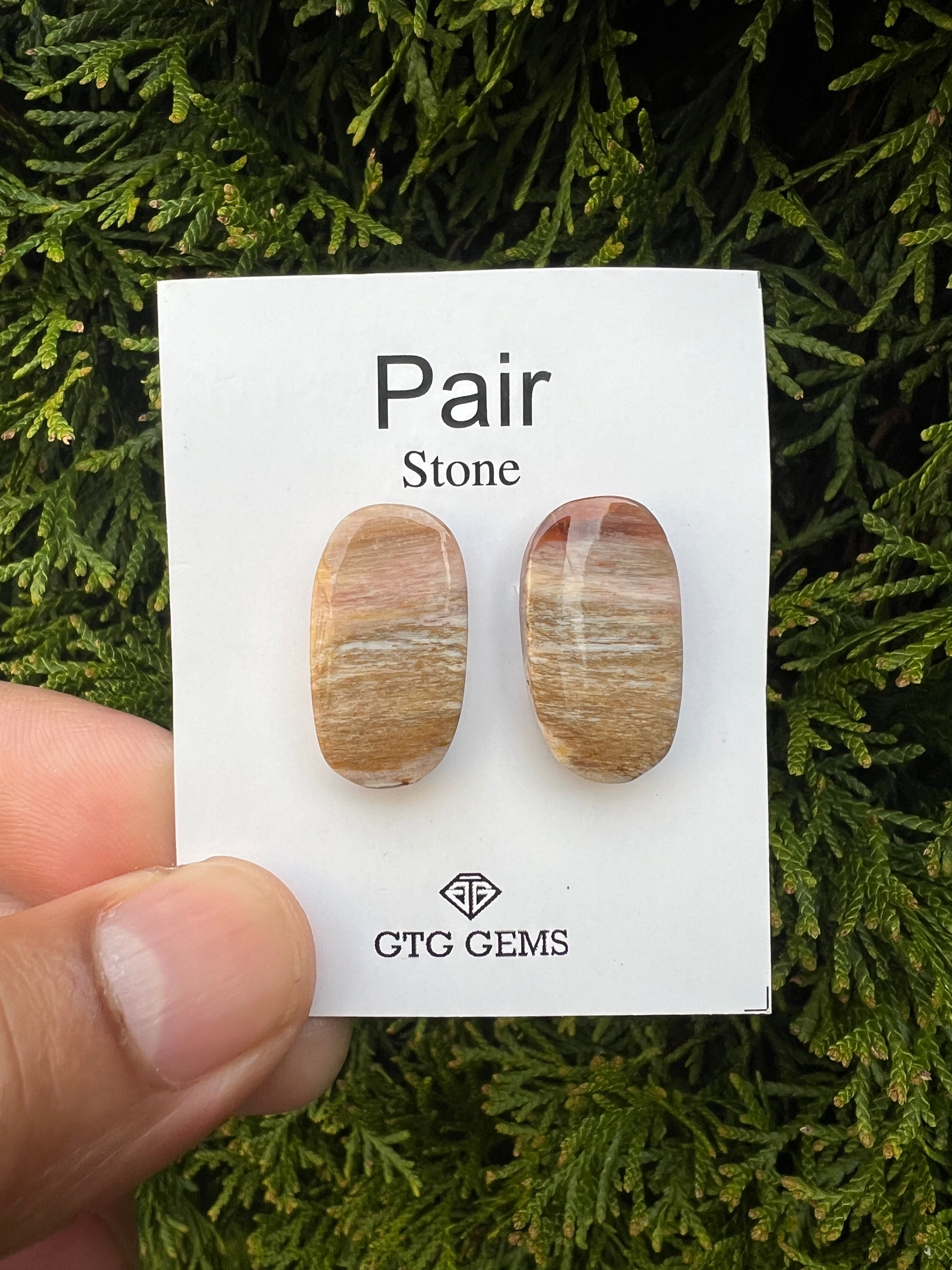 Petrified  Jasper  Matching Pair Cabochon Approximately 25 Carat (GTG-MPJ-4)