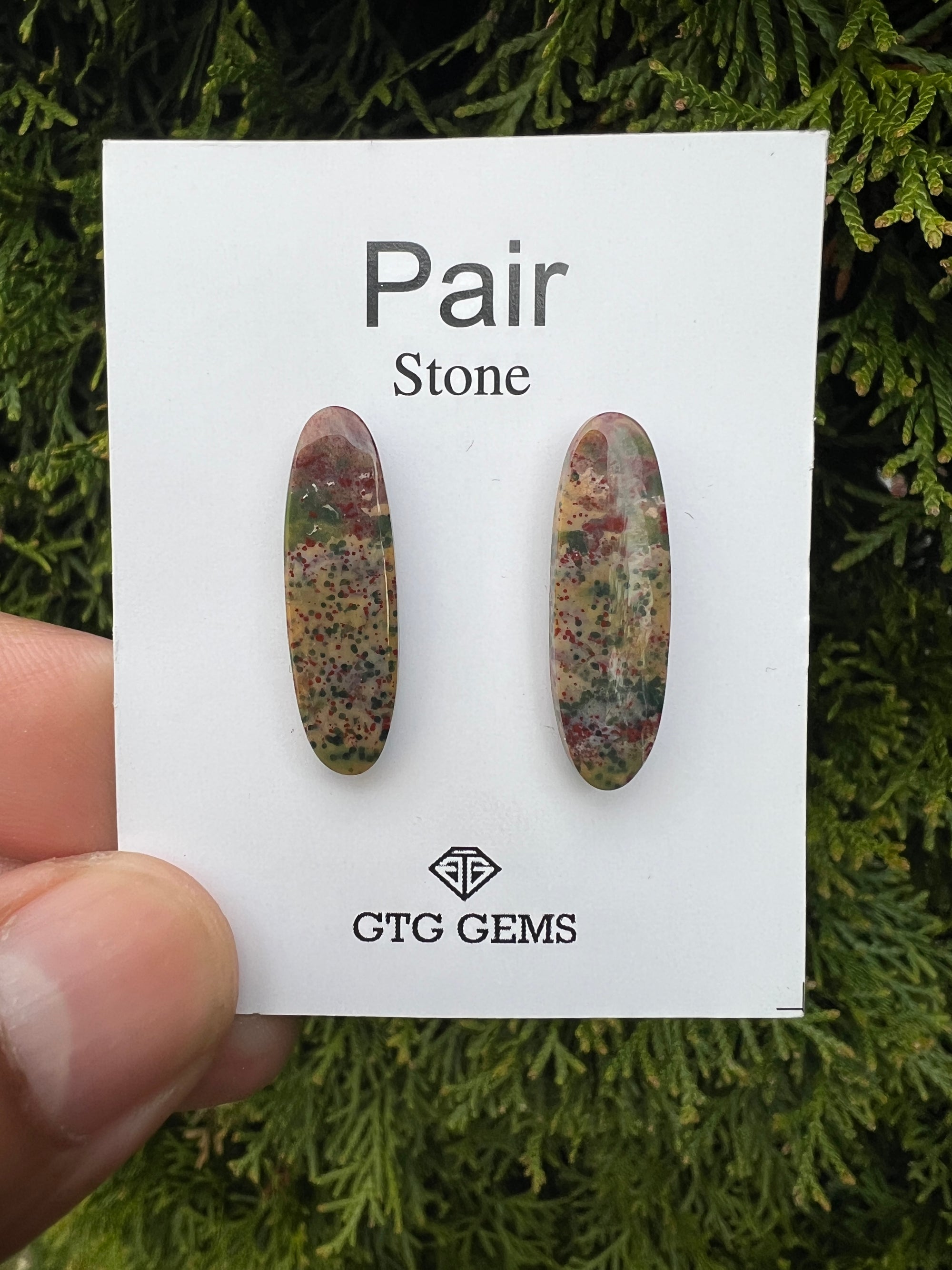 Blood Stone  Matching Pair Cabochon Approximately 12 Carat (GTG-MBS-6)