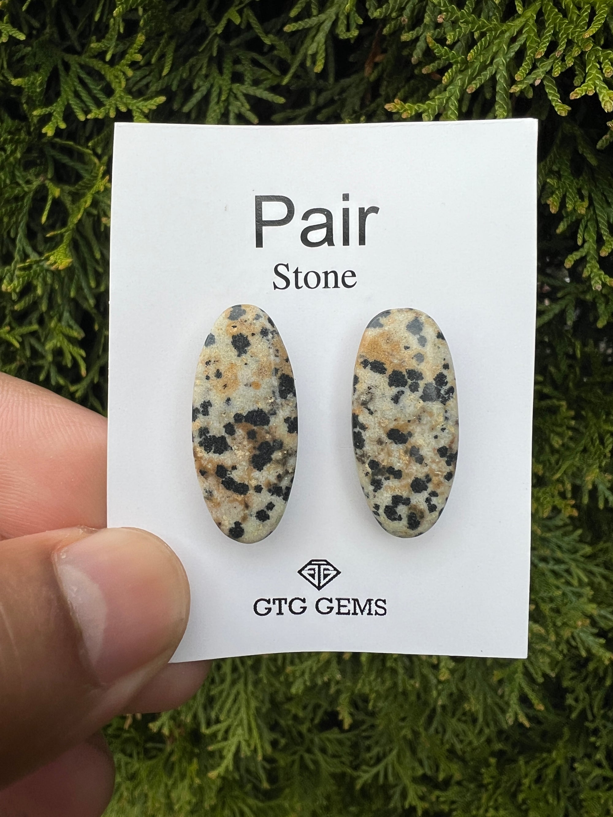 Dalmatian Jasper Cabochon Matching Pair  Approximately 24 carat (GTG-MJ-6)