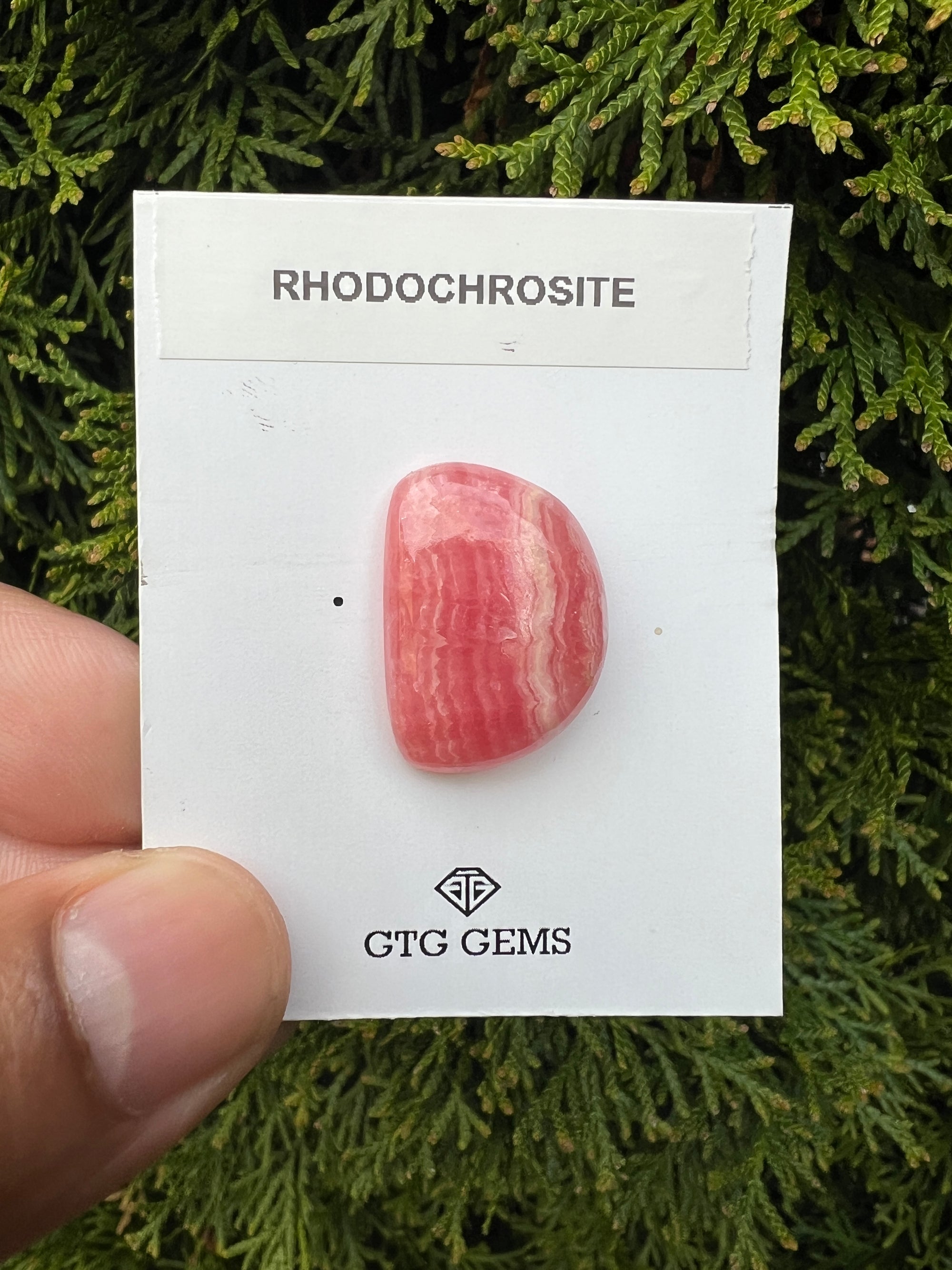 Rhodochrosite  Cabochon, Flat Back Gemstone, Rhodochrosite 24x12mm (GTG-RCH-10)