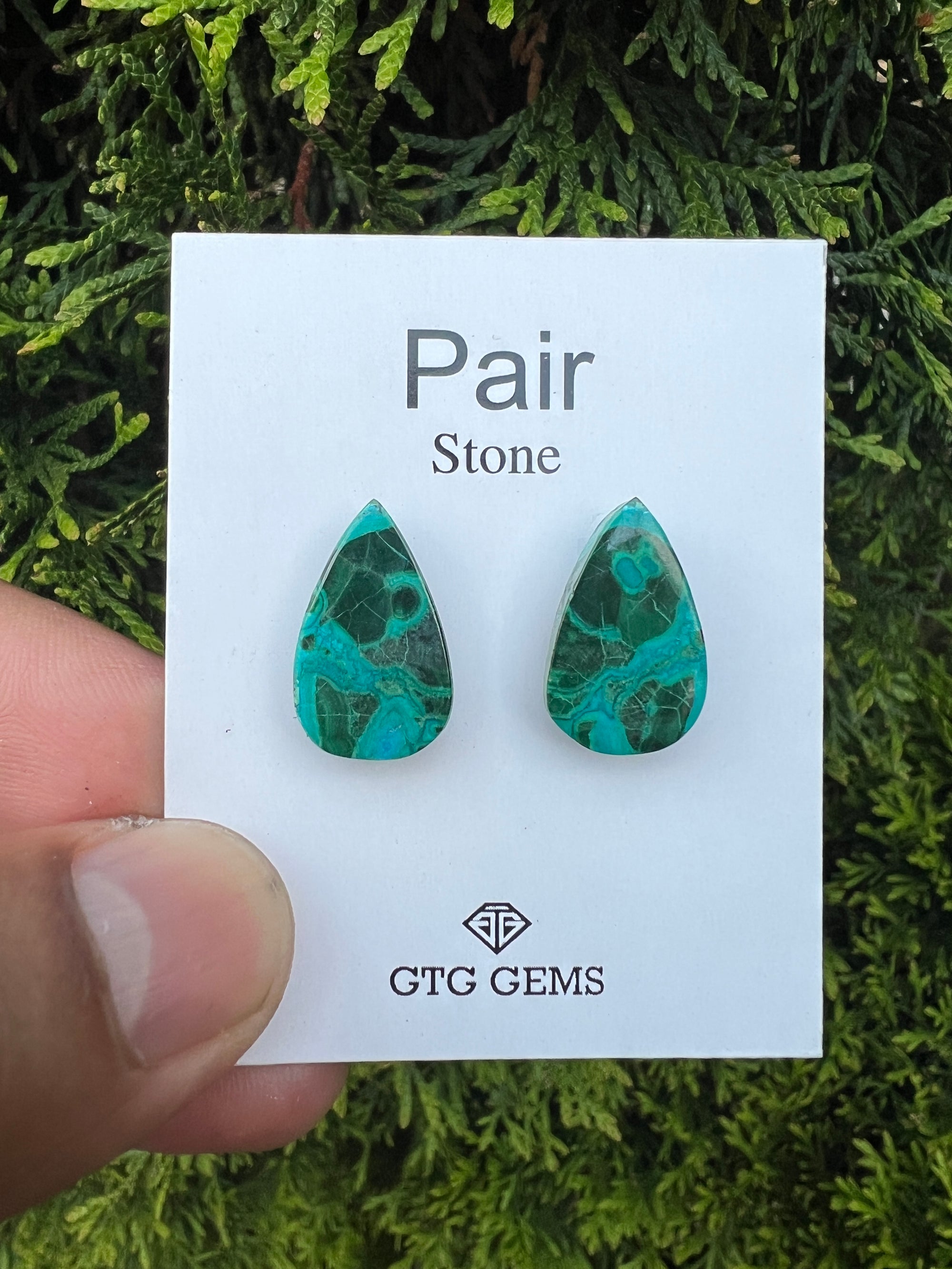 Malachite Chrysocolla, Cabochon Matching Pair 19x12mm, Approximately 12.50 carat (GTG-MCM-5)