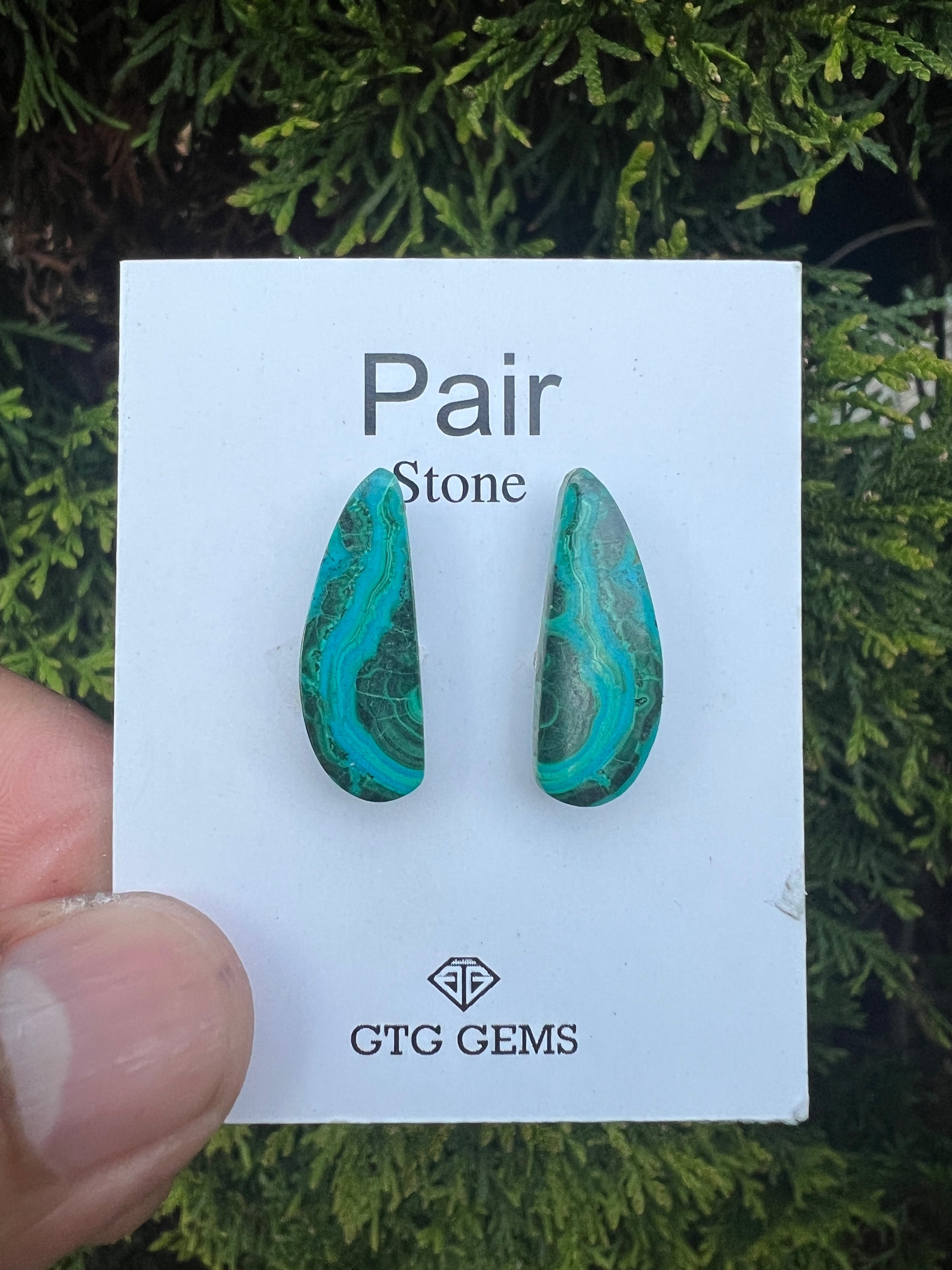 Malachite Chrysocolla, Cabochon Matching Pair 23x9 mm, Approximately 11.5 carat (GTG-MCM-10)