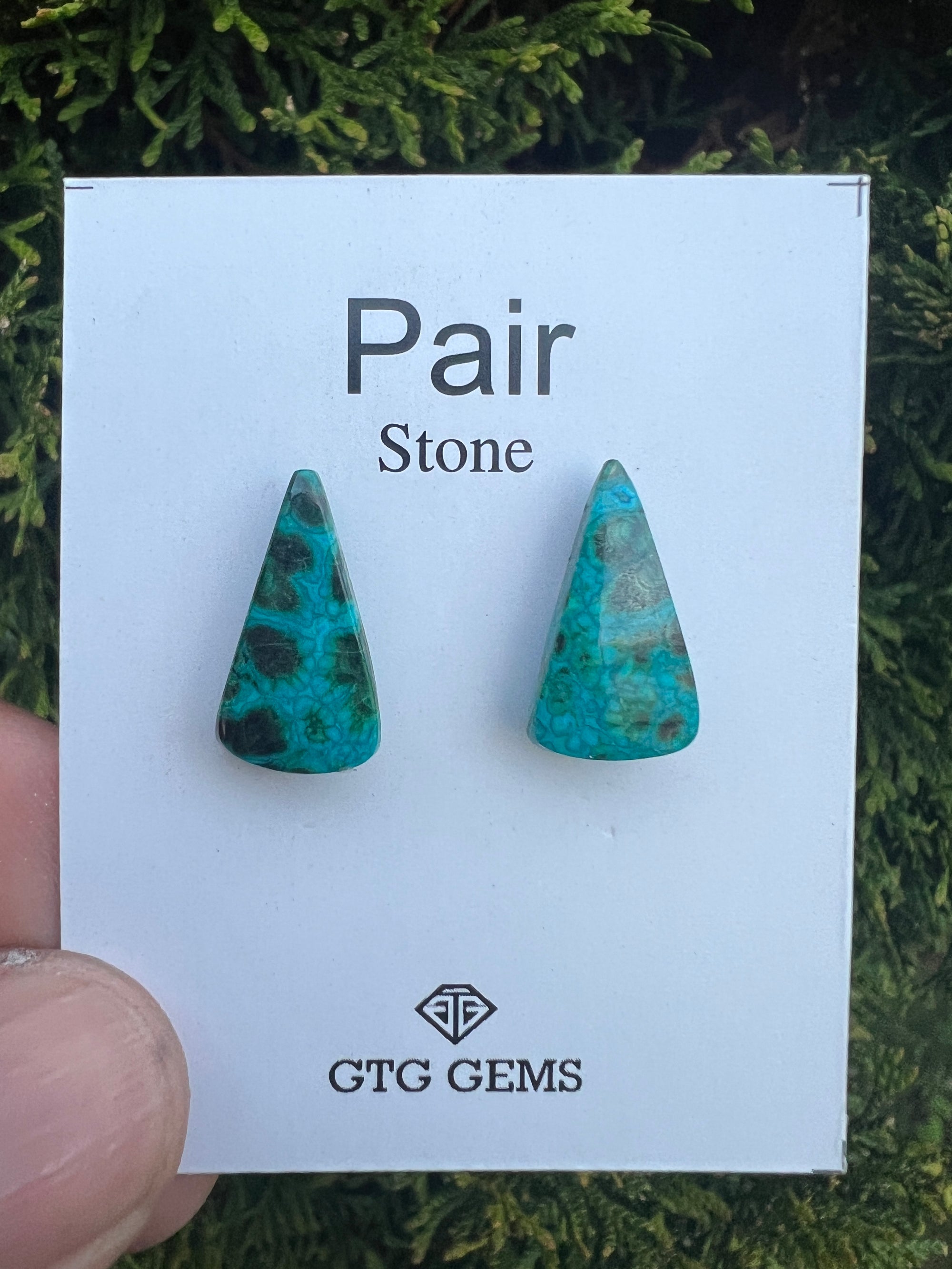 Malachite Chrysocolla Cabochon Matching Pair 10x10mm