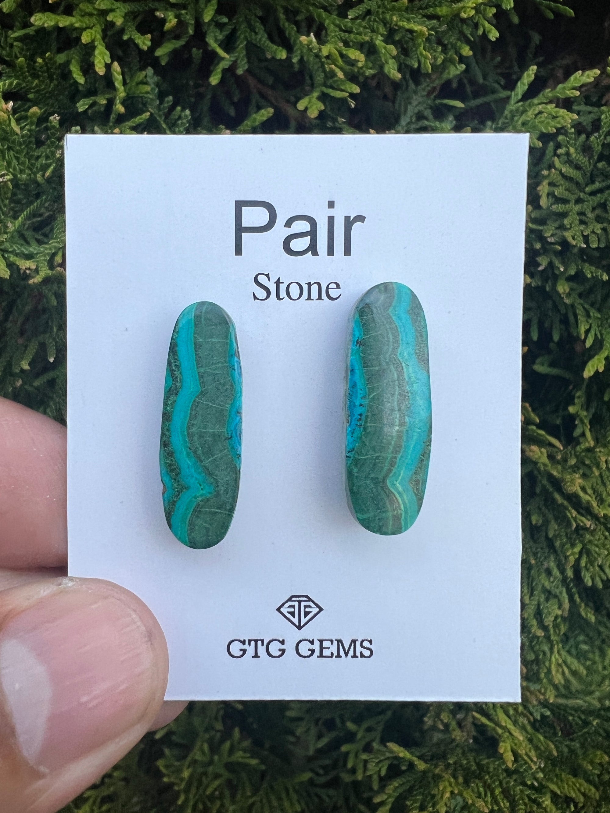 Malachite   Chrysocolla Cabochon Matching Pair 23x13 mm
