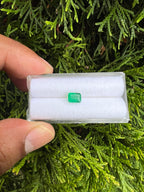 Zambian Emerald  6.4 x 4.7 mm Single Piece approximately .78 Carat (GTG-EM-3)