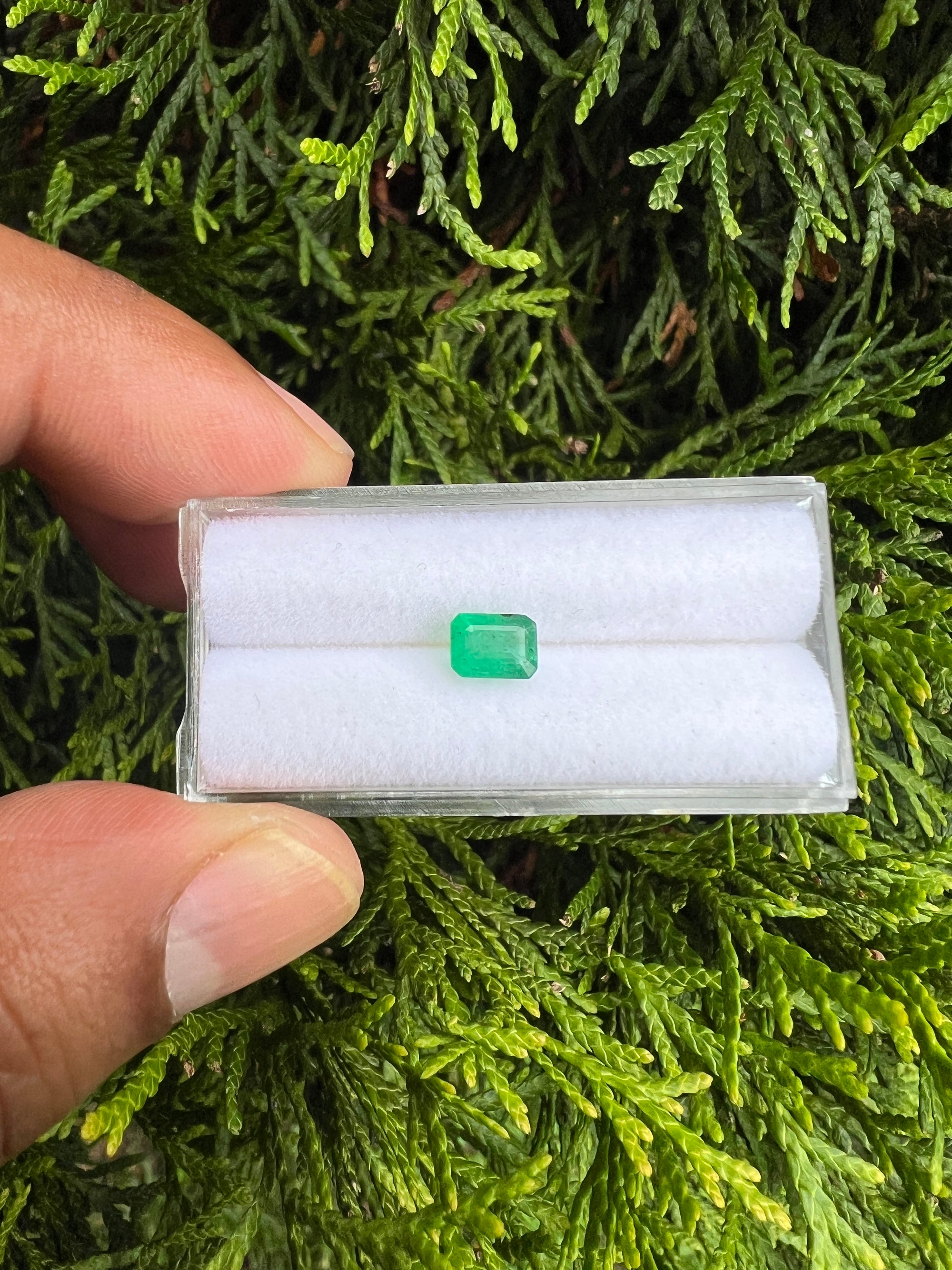 Zambian Emerald  6.4 x 4.7 mm Single Piece approximately .78 Carat (GTG-EM-3)