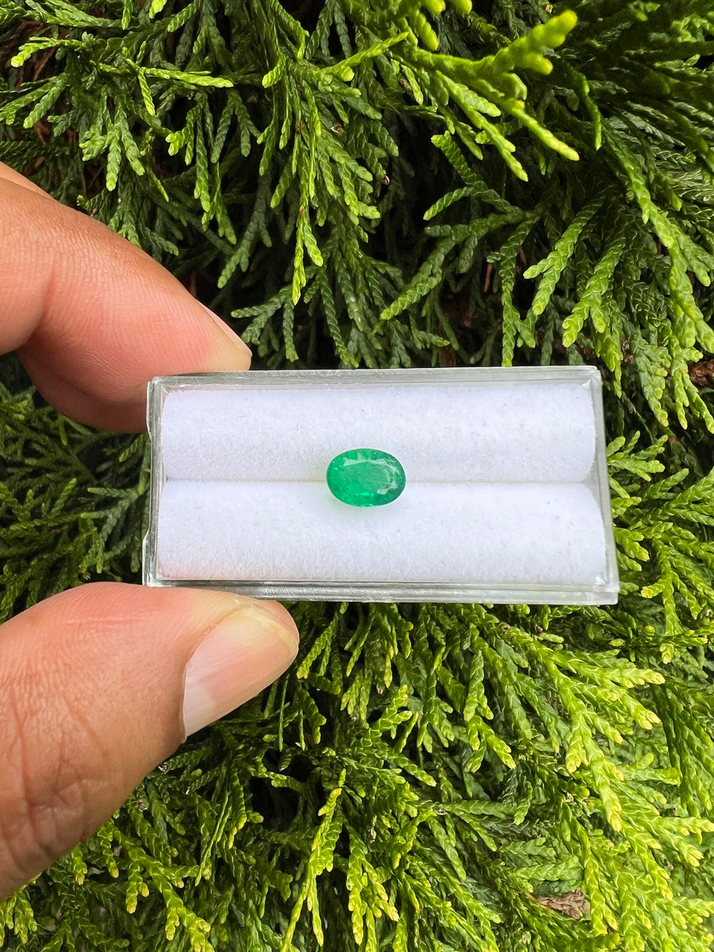 Zambian Emerald  oval  shape 8 x 6 mm Single Piece approximately 1.55Carat (GTG-EM-7)