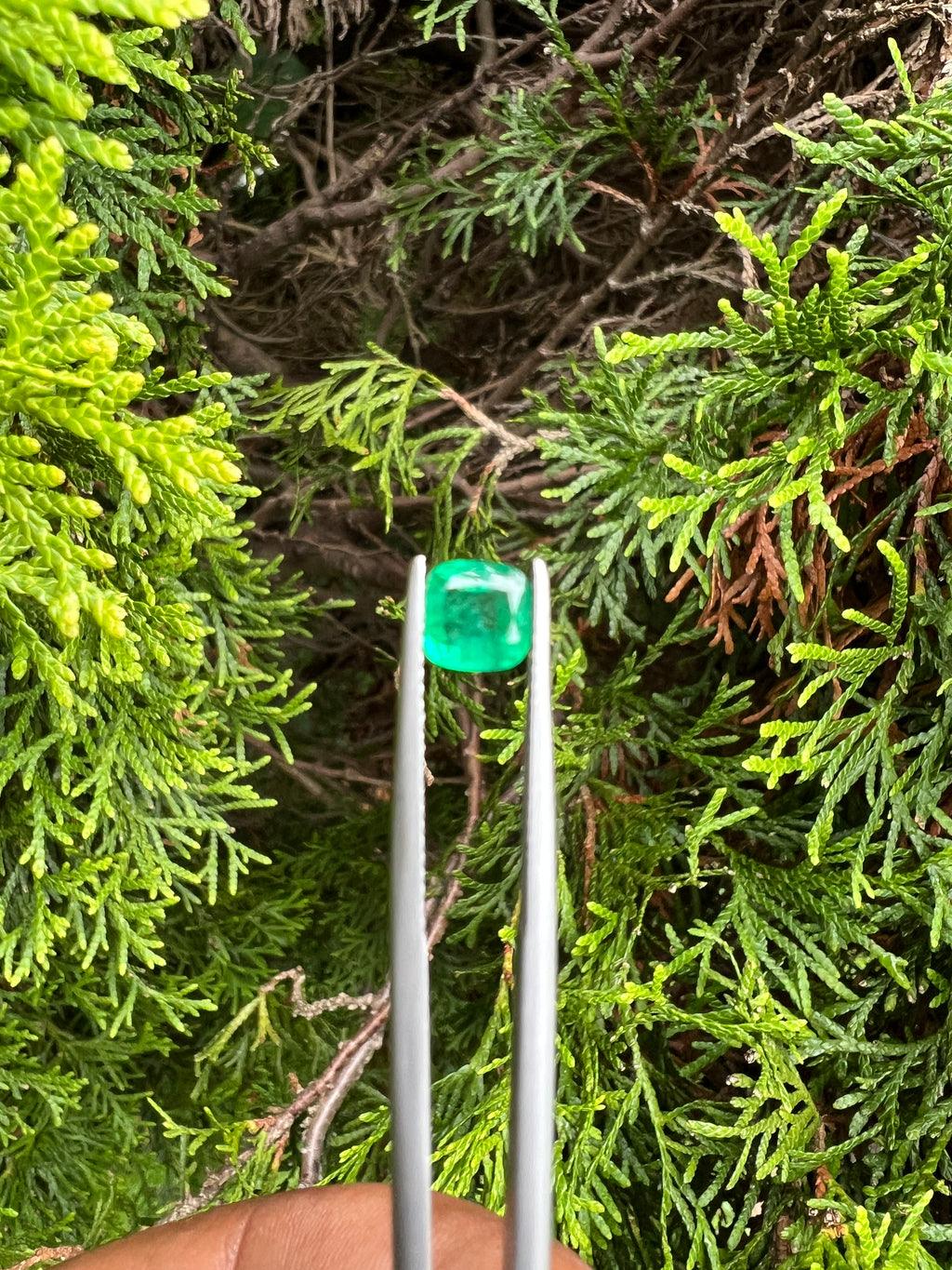 Zambian Emerald Square Shape 6 x 6 mm Single Piece Approximately 0.97 Carat (GTG-EM-5)