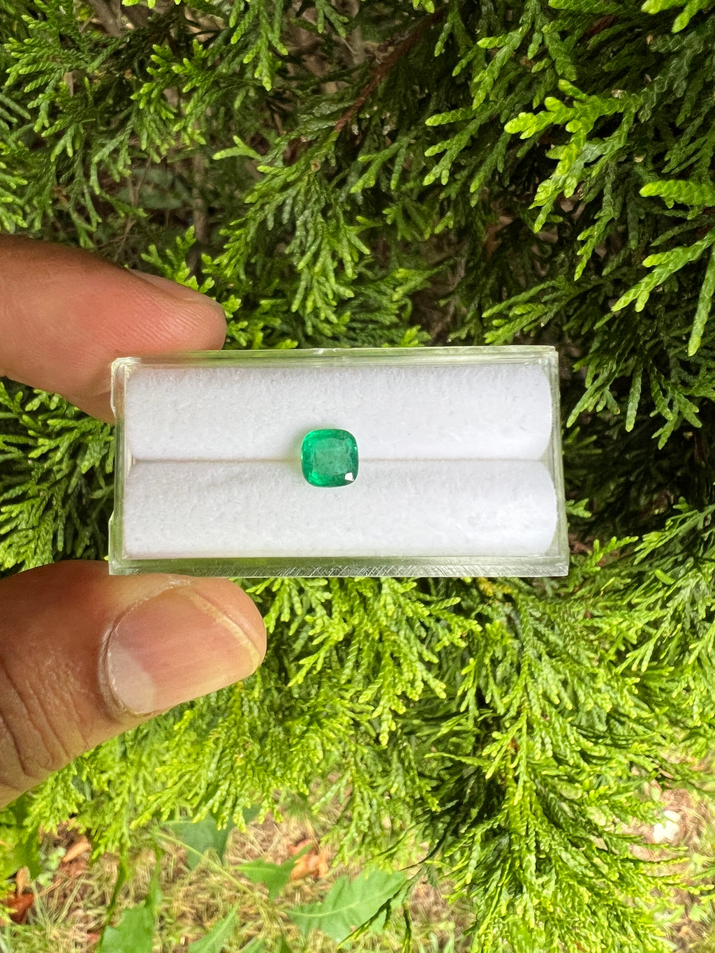 Zambian Emerald Square Shape 6 x 6 mm Single Piece Approximately 0.97 Carat (GTG-EM-5)