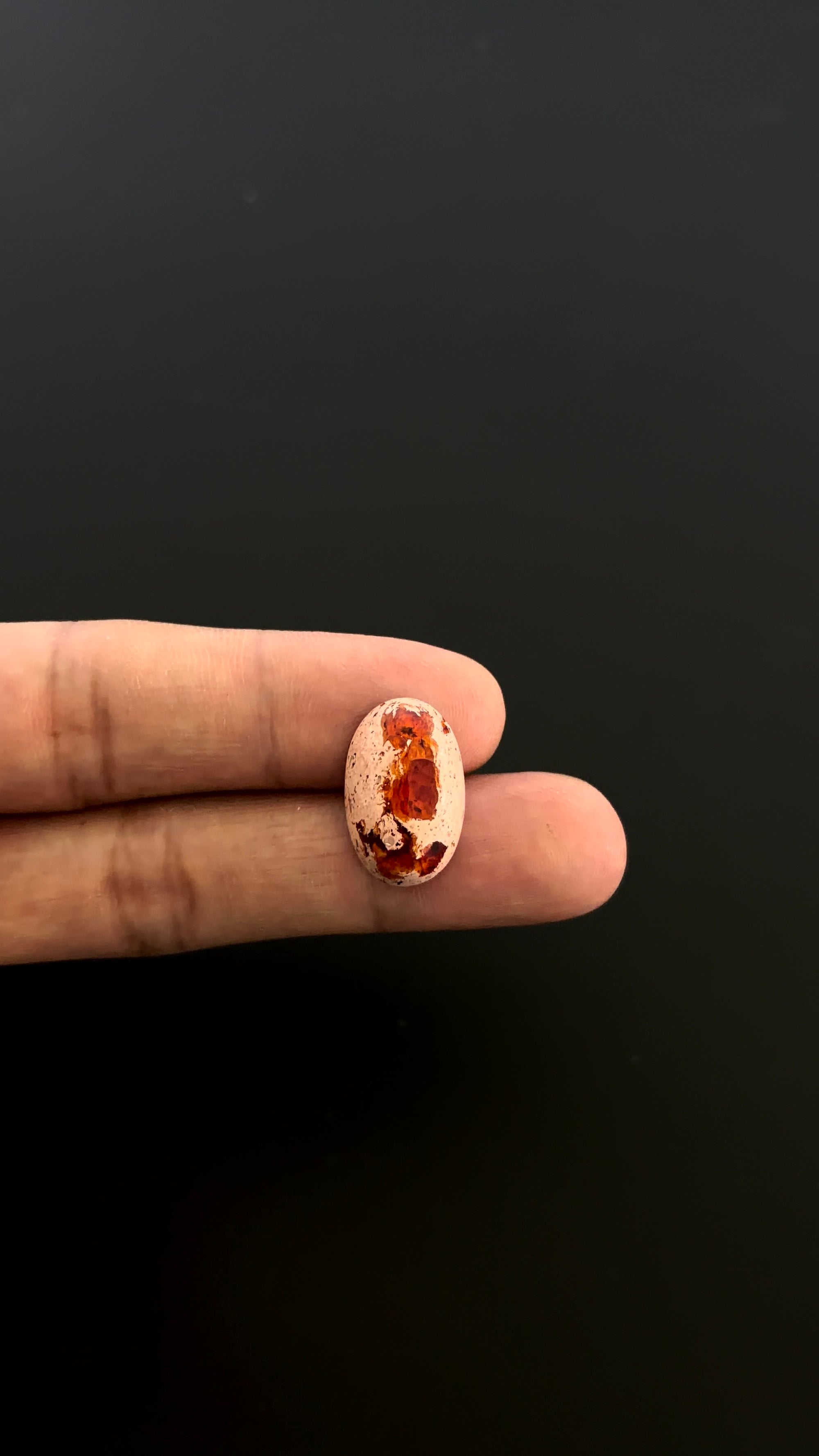 Mexican Fire Opal Cabochon 20x13 mm Approximately 9.17 Carat