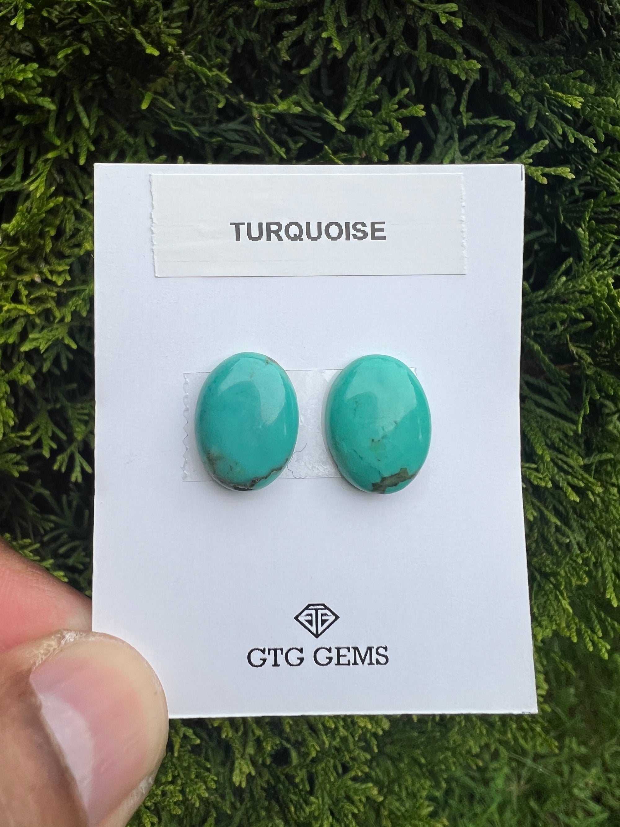 Natural Turquoise cabs 16x12mm approximately 13.80 carat (GTG-MT-1)
