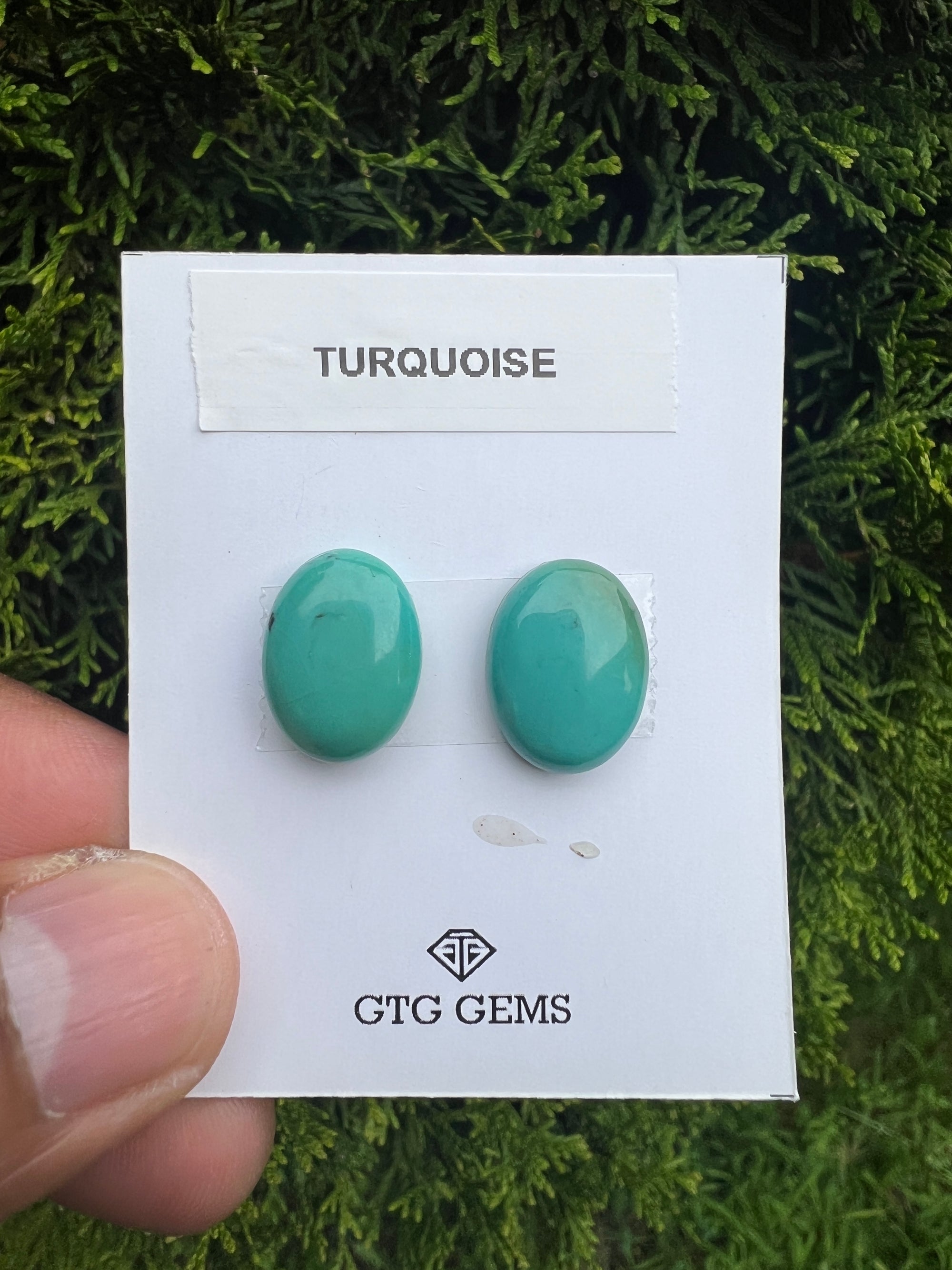 Natural Turquoise cabs 16x12mm approximately 13.80 carat (GTG-MT-2)