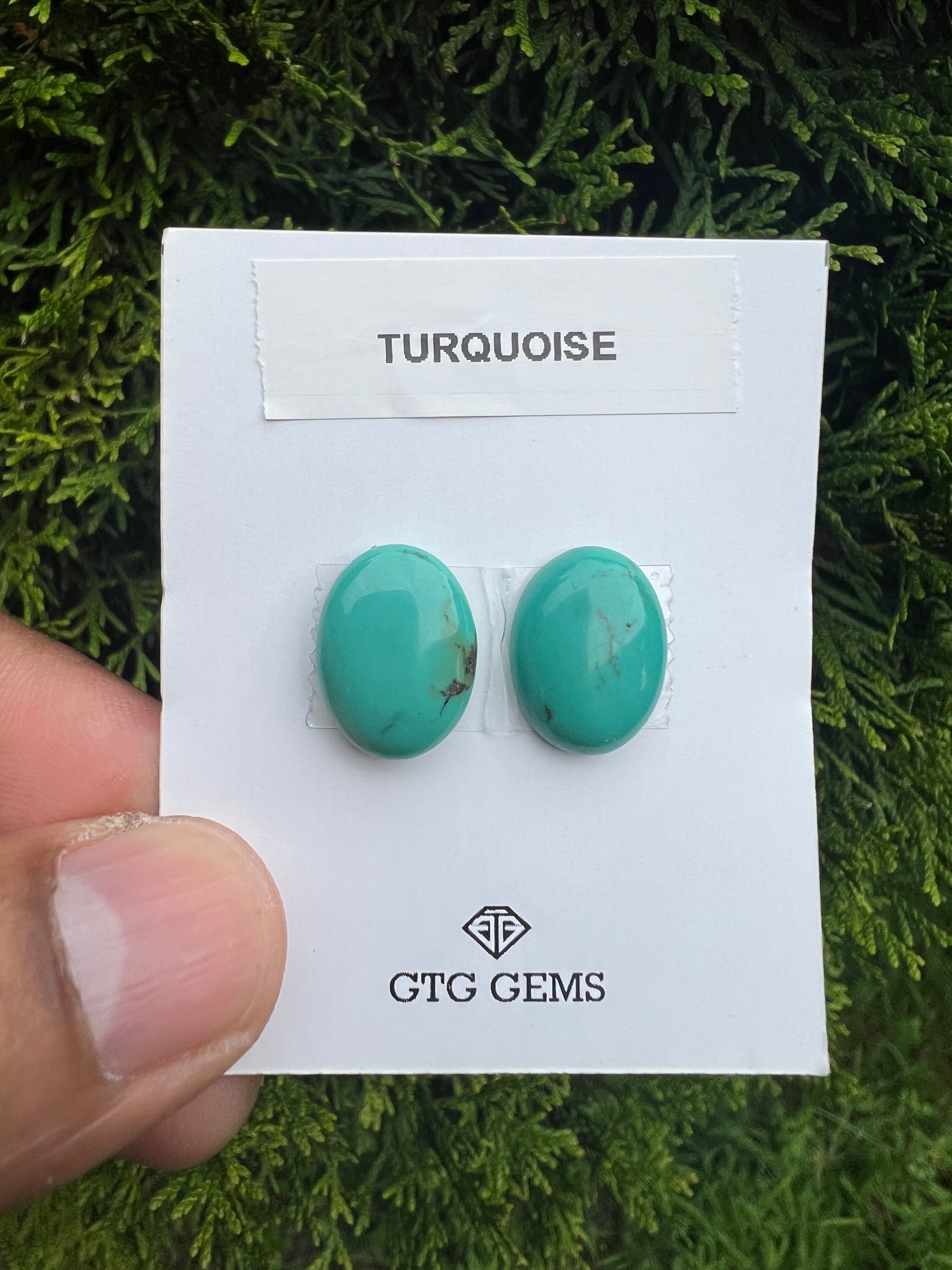 Natural Turquoise cabs 16x12mm approximately 13.80 carat (GTG-MT-3)