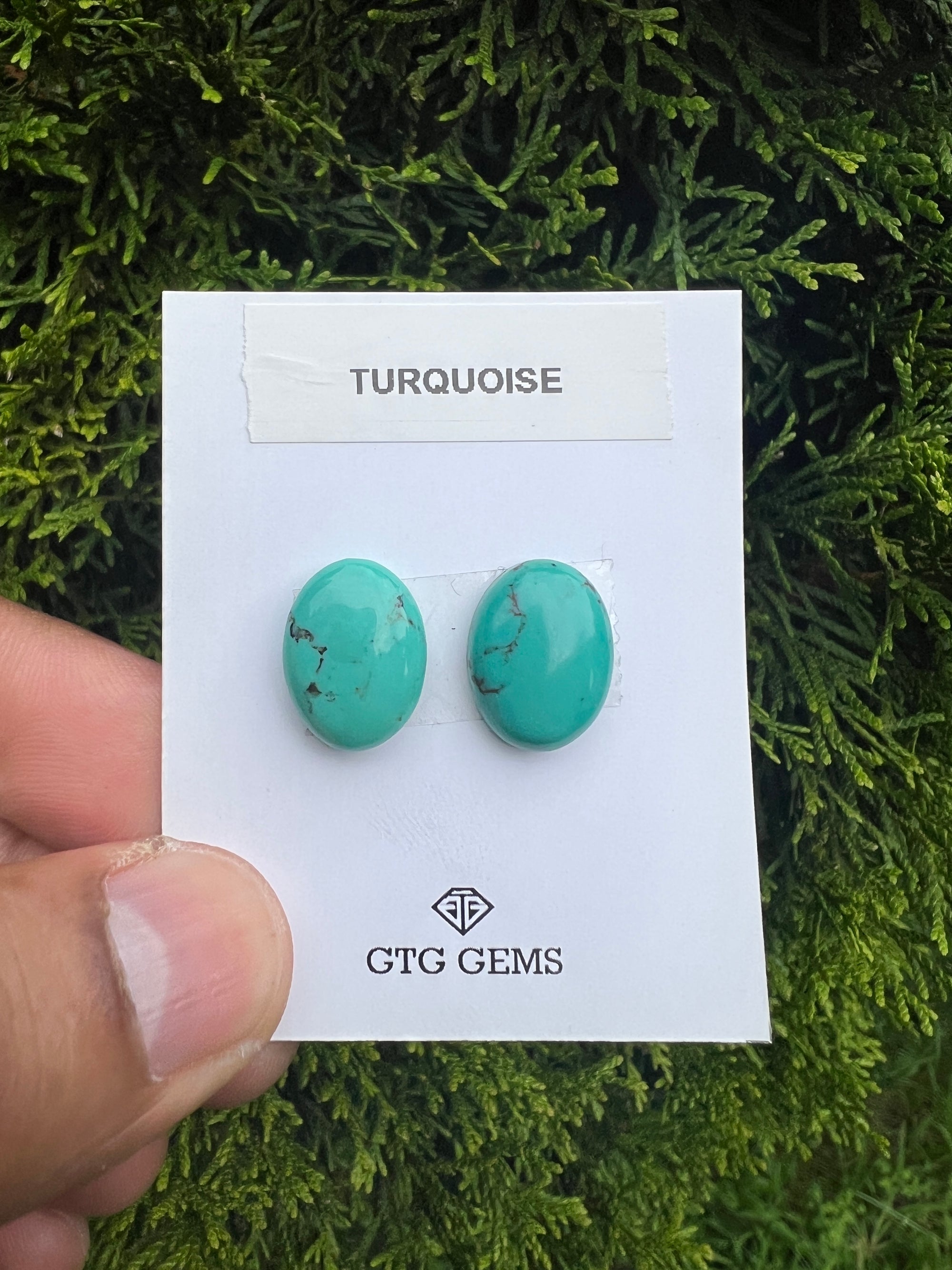 Natural Turquoise cabs 16x12mm approximately 13.80 carat (GTG-MT-5)