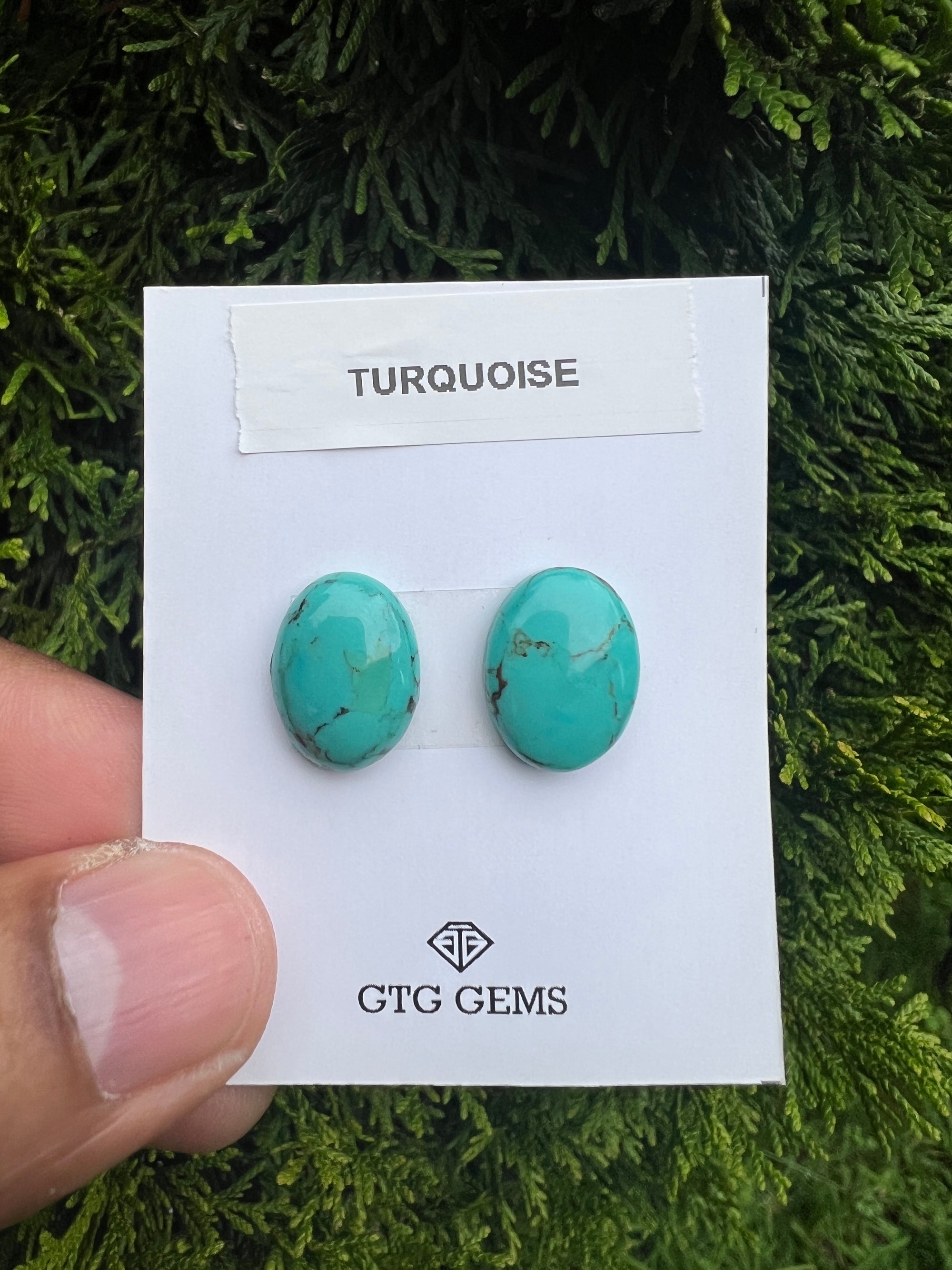 Natural Turquoise cabs 16x12mm approximately 13.80 carat (GTG-MT-10)