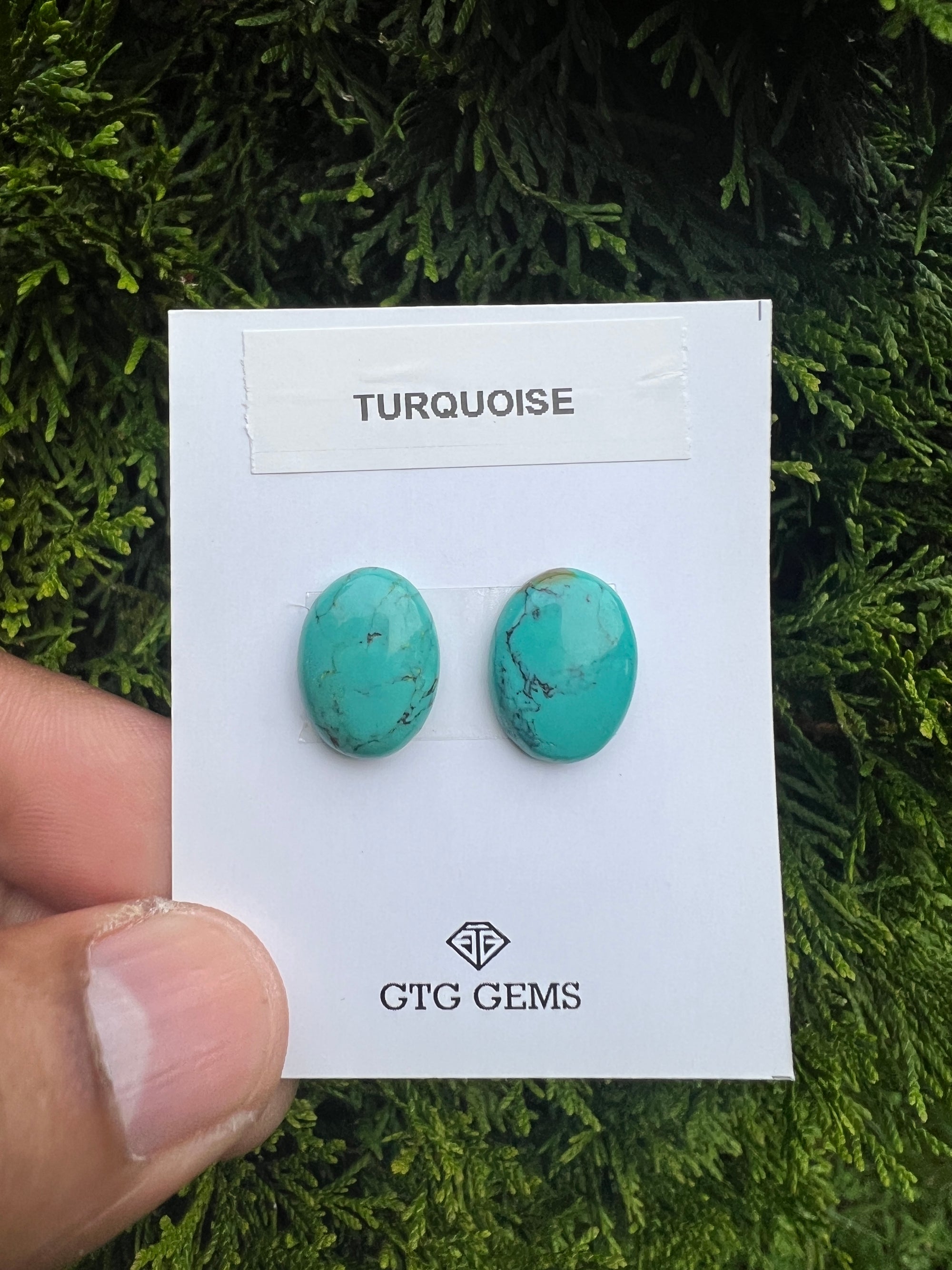 Natural Turquoise cabs 16x12mm approximately 13.80 carat (GTG-MT-7)
