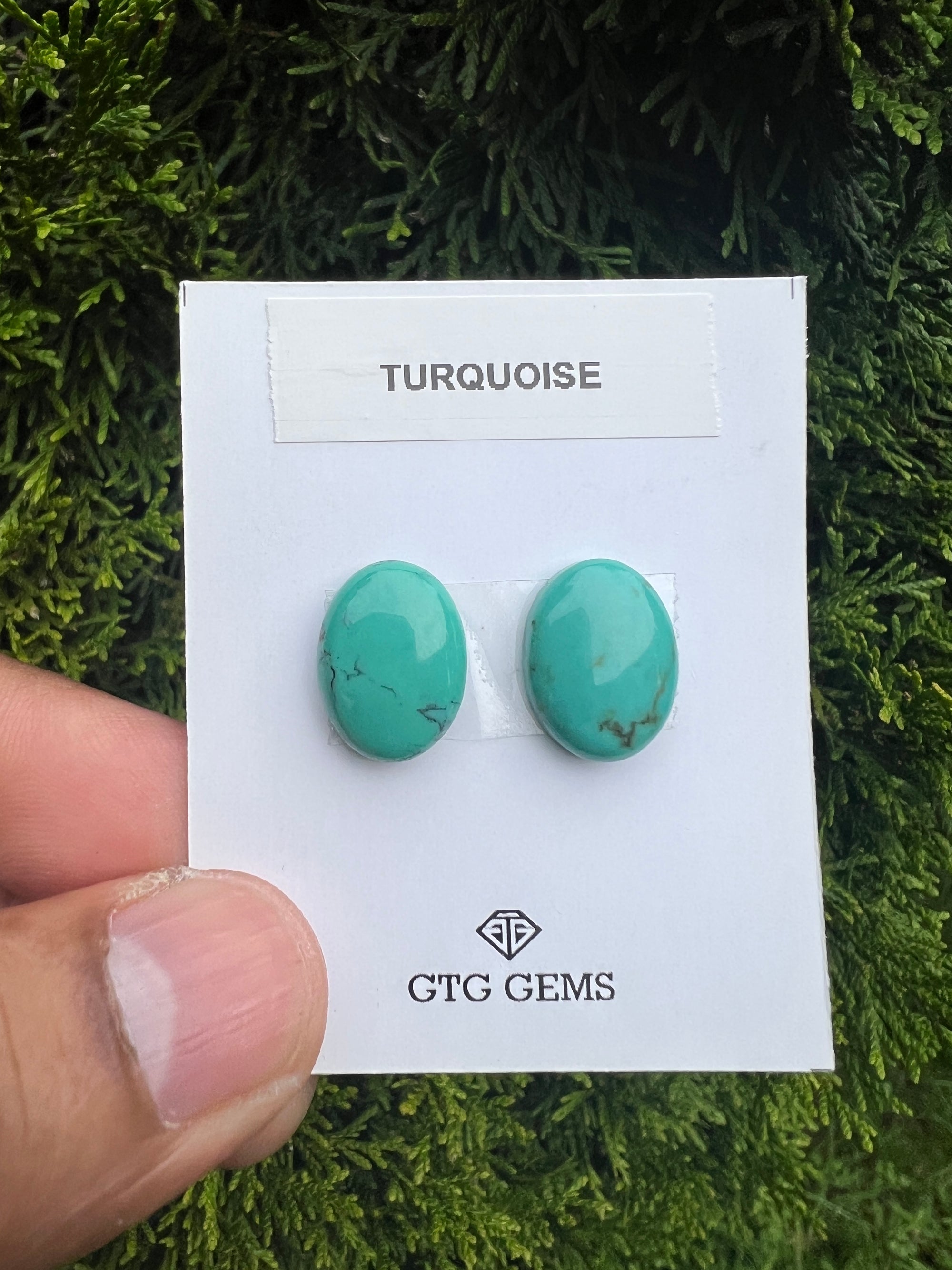 Natural Turquoise cabs 16x12mm approximately 13.80 carat (GTG-MT-8)